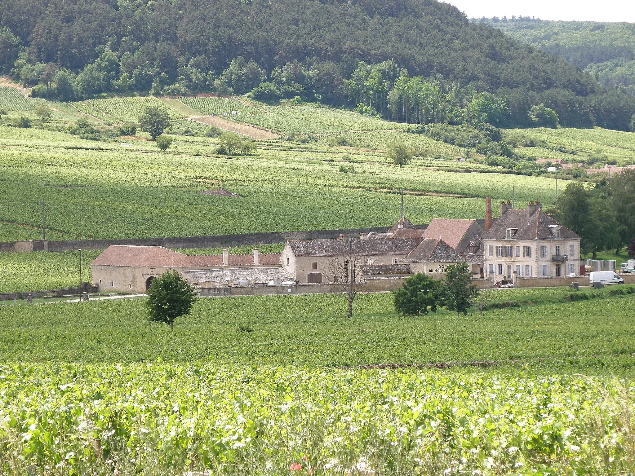 Photo showing: Auxey-Duresses (Côte-d'Or, France). Domaine viticole 'le Moulin-aux-Moines'.