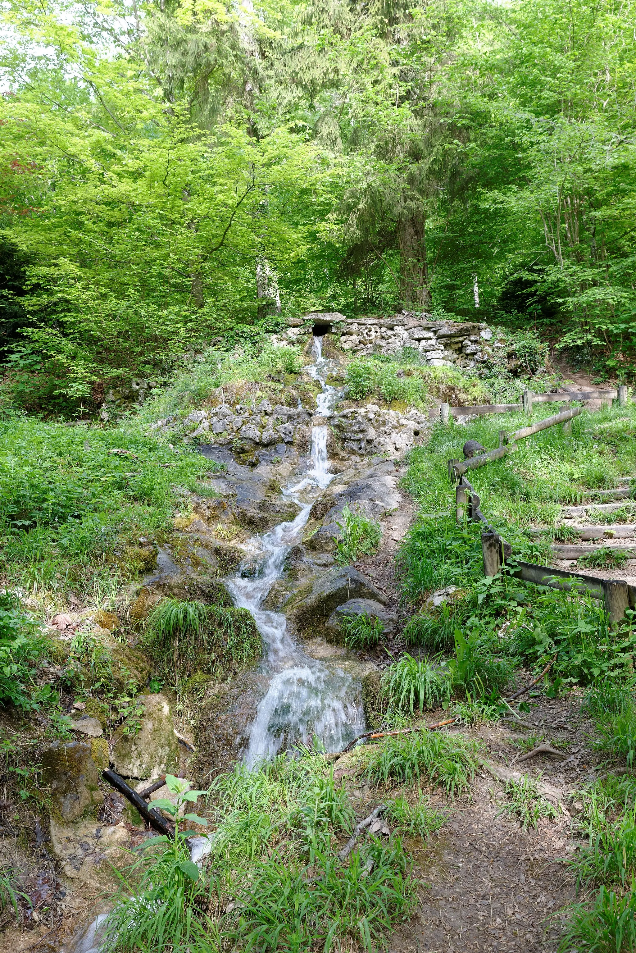 Photo showing: Site de la "Fontaine de Jouvence". (Réserve naturelle régionale du Val-Suzon) (Côte d'or, Bourgogne, France).