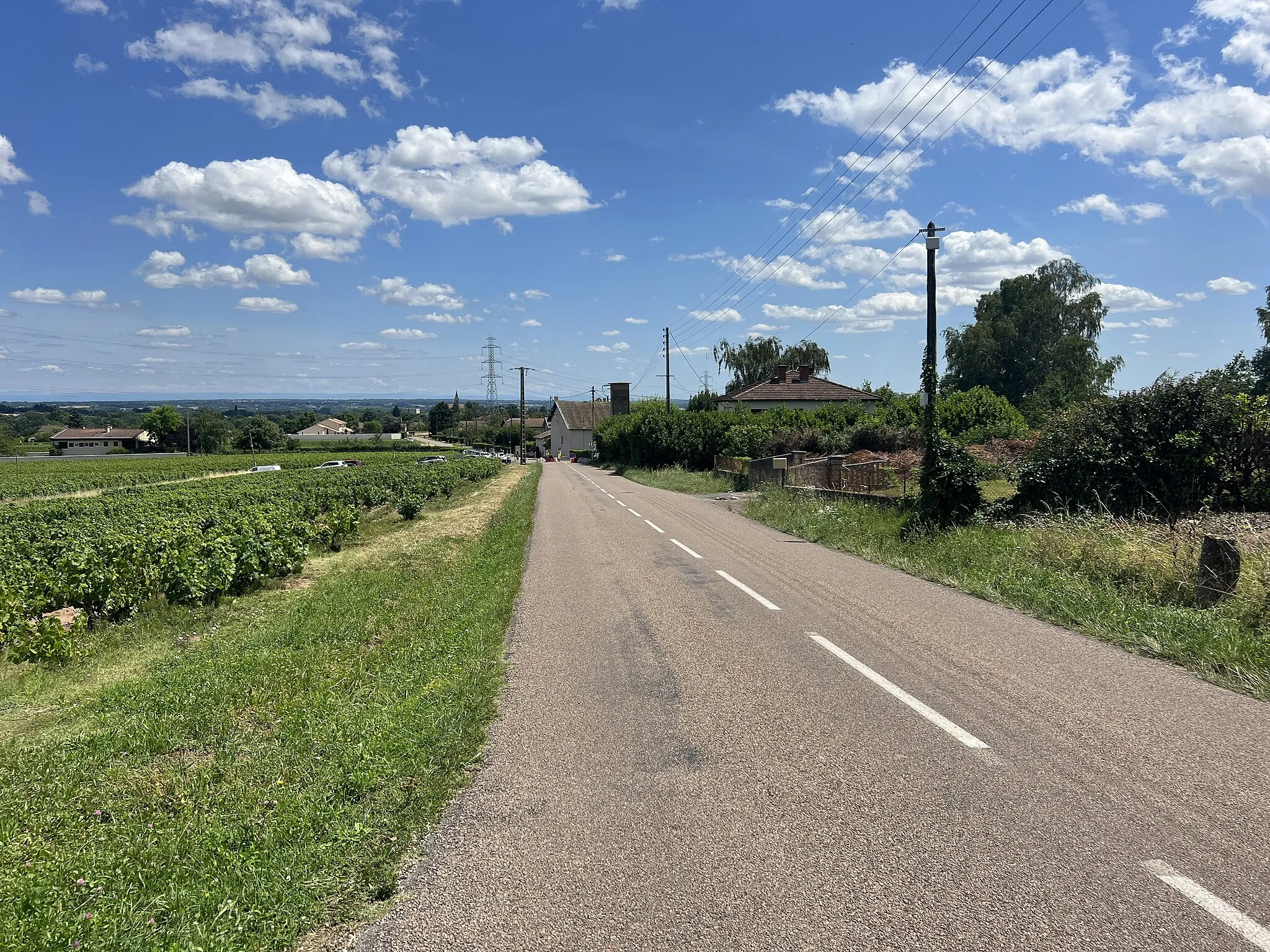 Photo showing: Route des Deschamps, La Chapelle-de-Guinchay.