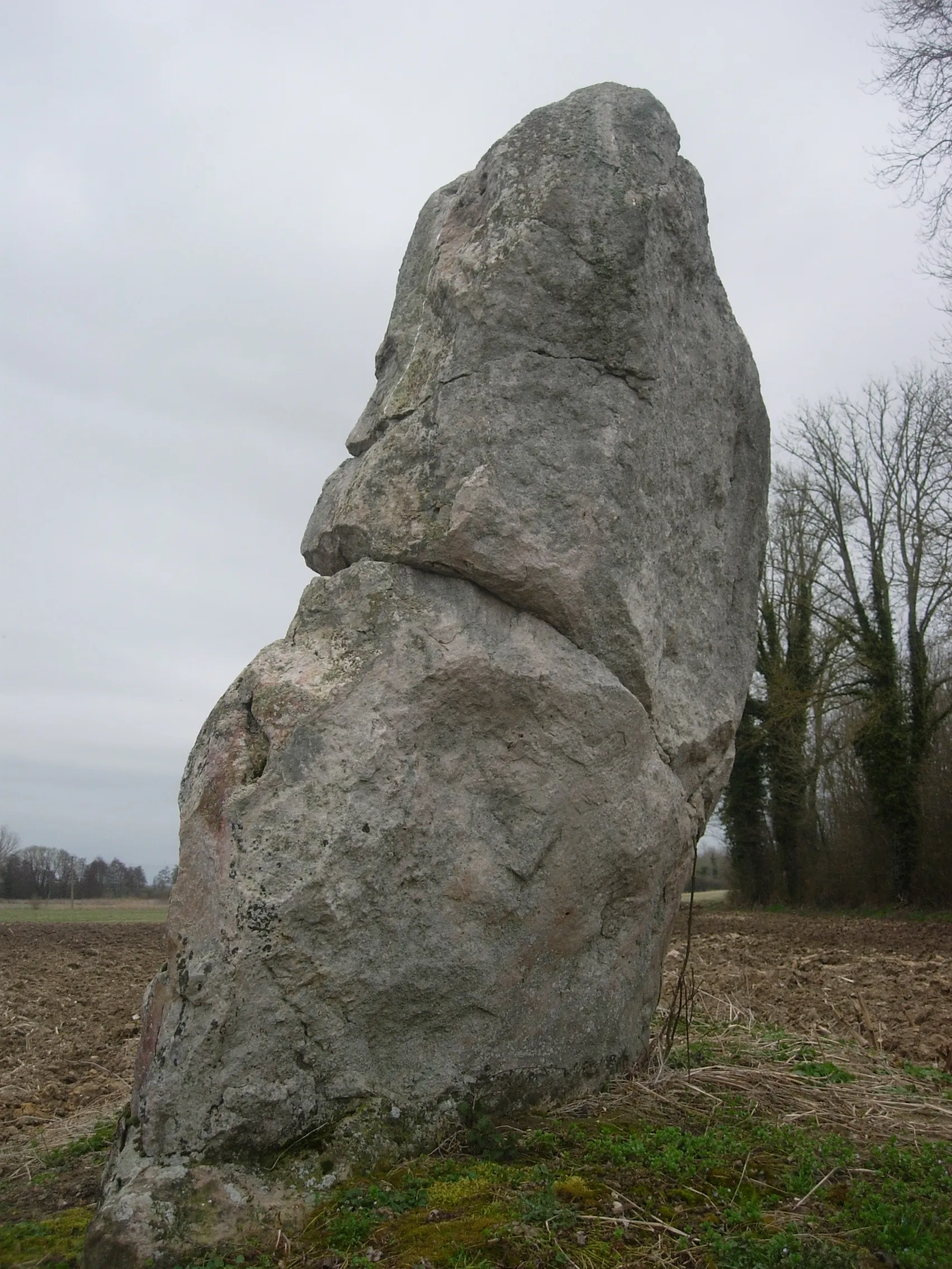 Photo showing: Menhir de la Pierre au coq à Souligny-les-étangs (Aube)