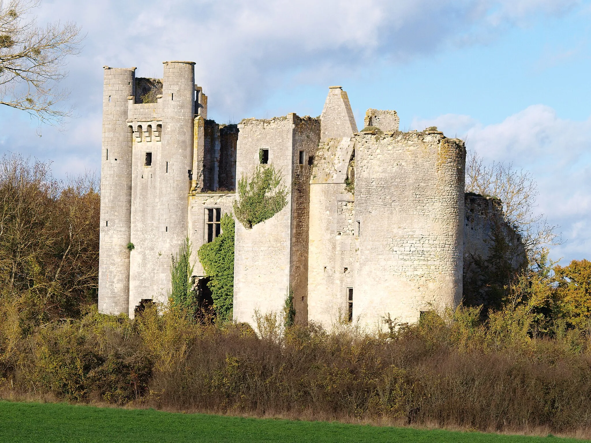 Photo showing: Passy-les-Tours (Varennes-lès-Narcy, Nièvre, France) ; le château ruiné.