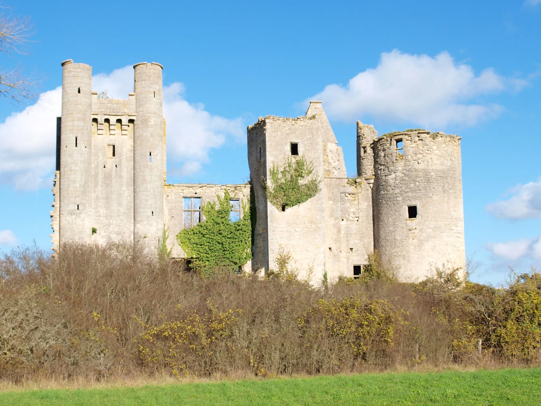 Photo showing: Passy-les-Tours (Varennes-lès-Narcy, Nièvre, France) ; le château ruiné.