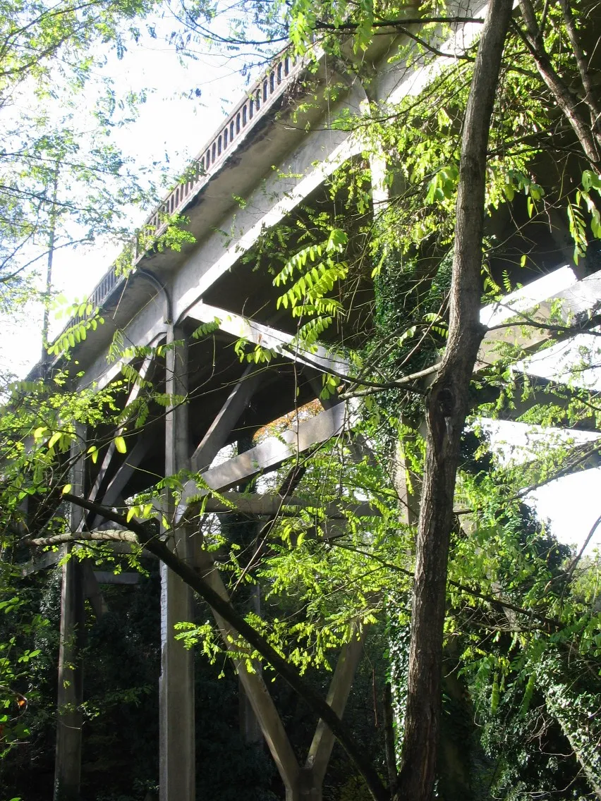 Photo showing: En limite de Montceau les Mines et Saint-Vallier, Saône et Loire, le curieux pont n°50 et ses poutrelles de béton armé, d'une ouverture totale de 70 m, franchissent la rue des Chavannes et un méandre de la Bourbince au niveau de la jeune société Novium (ex-Hydro 3M), concepteur et fabricant de matériel ferroviaire.
Sa disparition était actée par la CUCM (Communauté Urbaine Creusot-Montceau) en 2015 pour cause de non-conformité avec les dernières normes en vigueur, surtout européennes. Opération estimée à 1,57 M€, dans le cadre du projet de plateforme ferroviaire intégrée Mecateam.

A l'automne 2018 il est toujours debout, ce qui n'est pas le cas de l'ouvrage situé une centaine de mètres en aval vers le Canal du Centre, de type « pont-tiroir », tombé au cours de l'été 2013 pour un coût de 375 000 €...