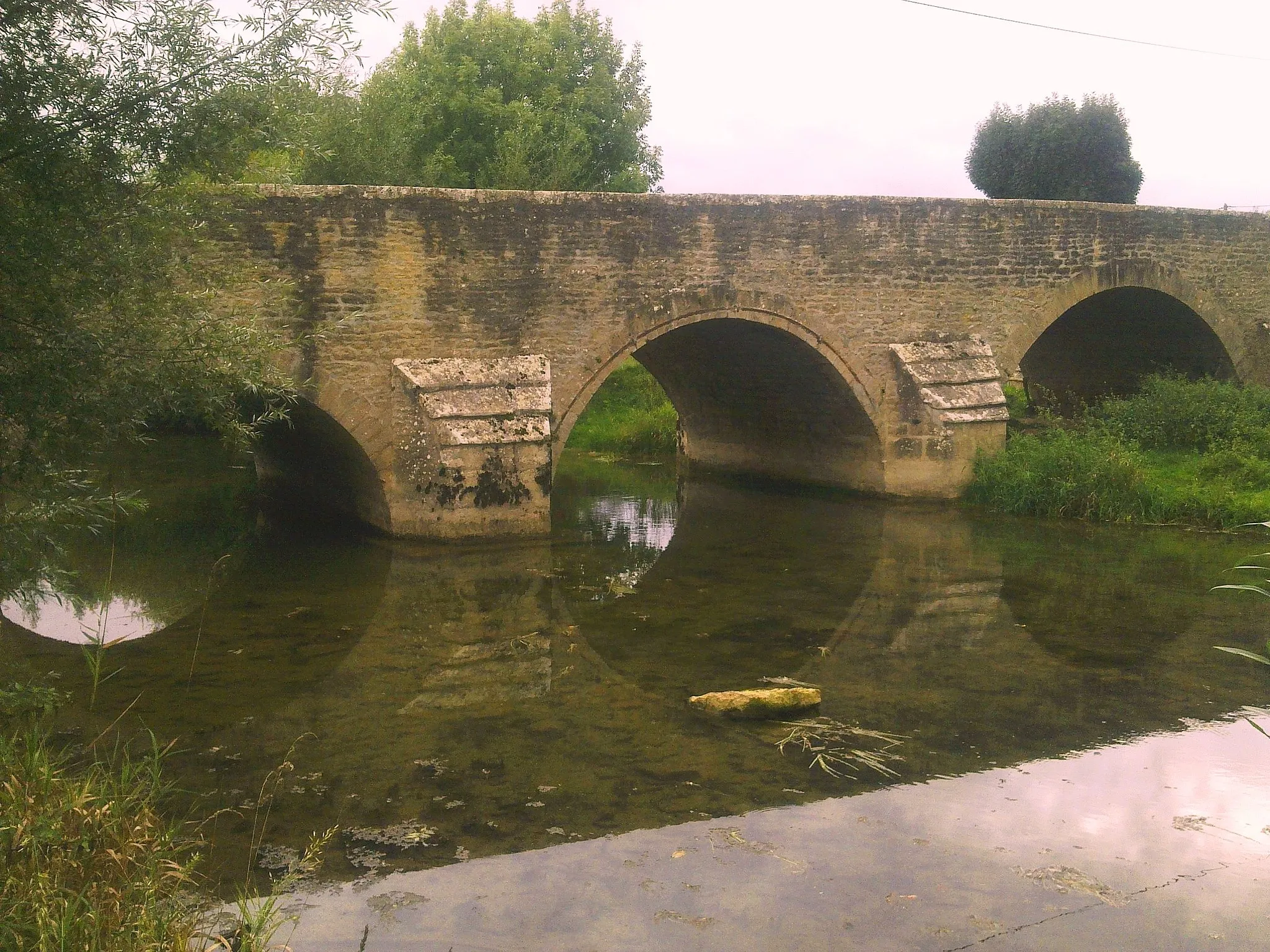 Photo showing: Pont sur la Seine à Etrochey (France)