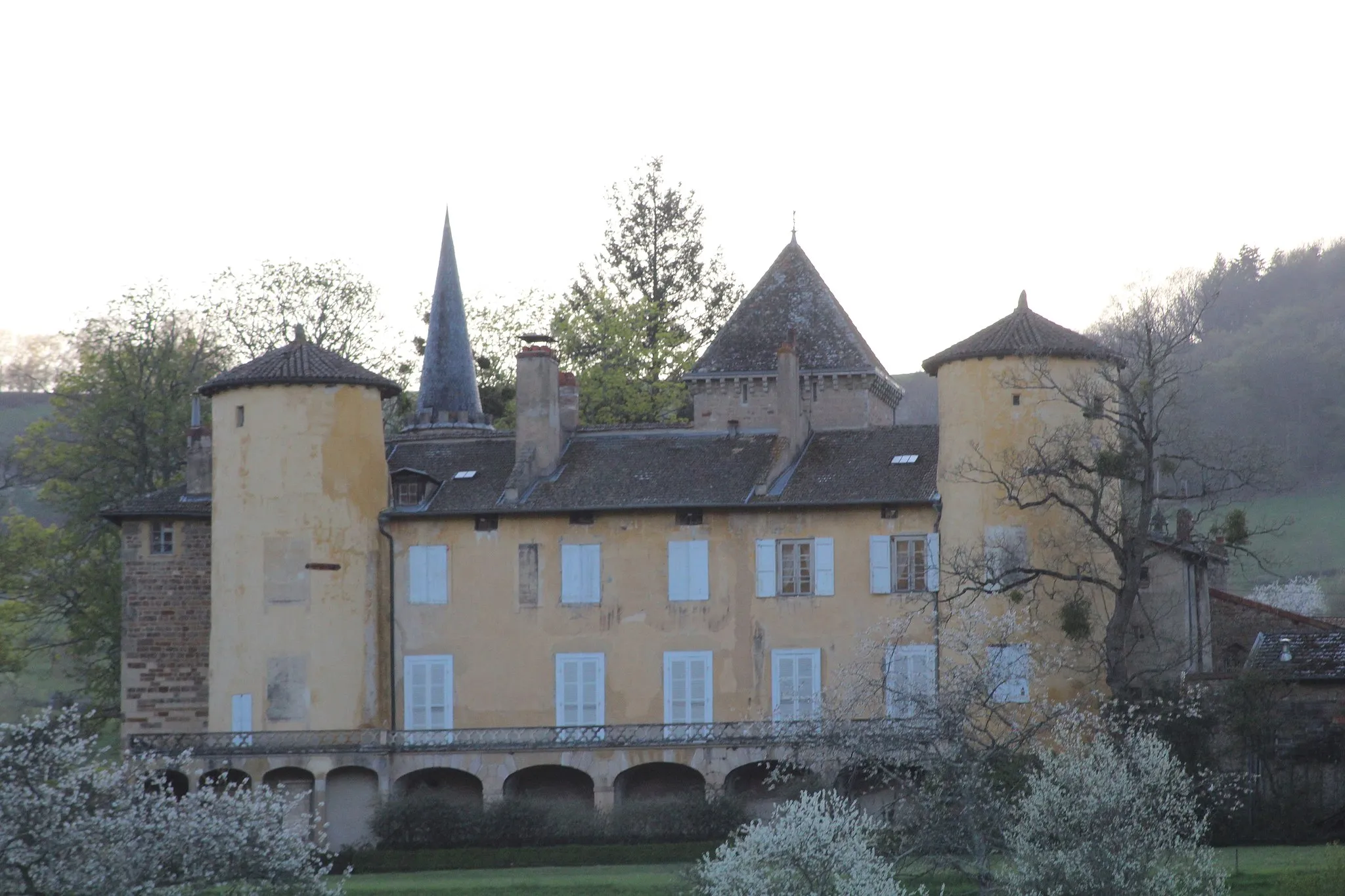 Photo showing: Château de Saint-Point.