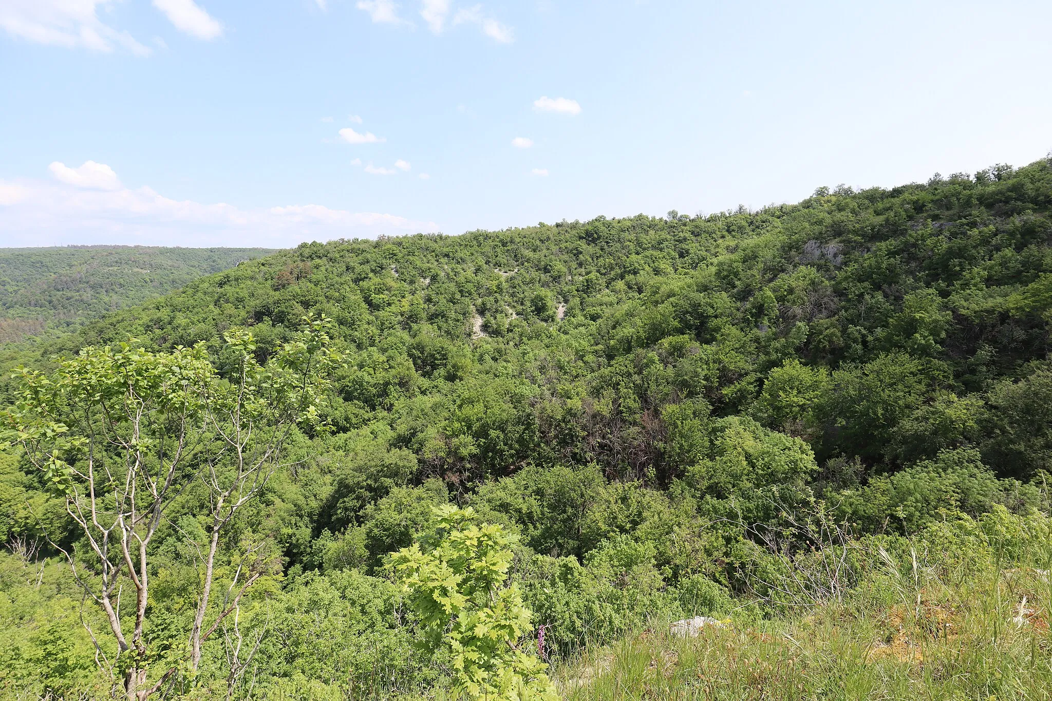 Photo showing: En Neudry à Val-Suzon (21).