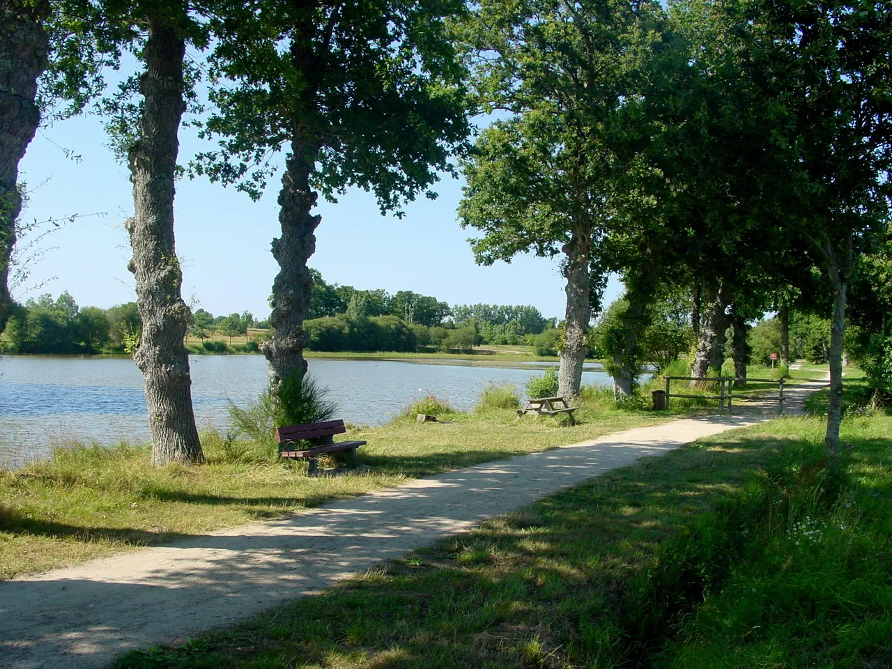 Photo showing: Pond of Le Blavon in Bédée