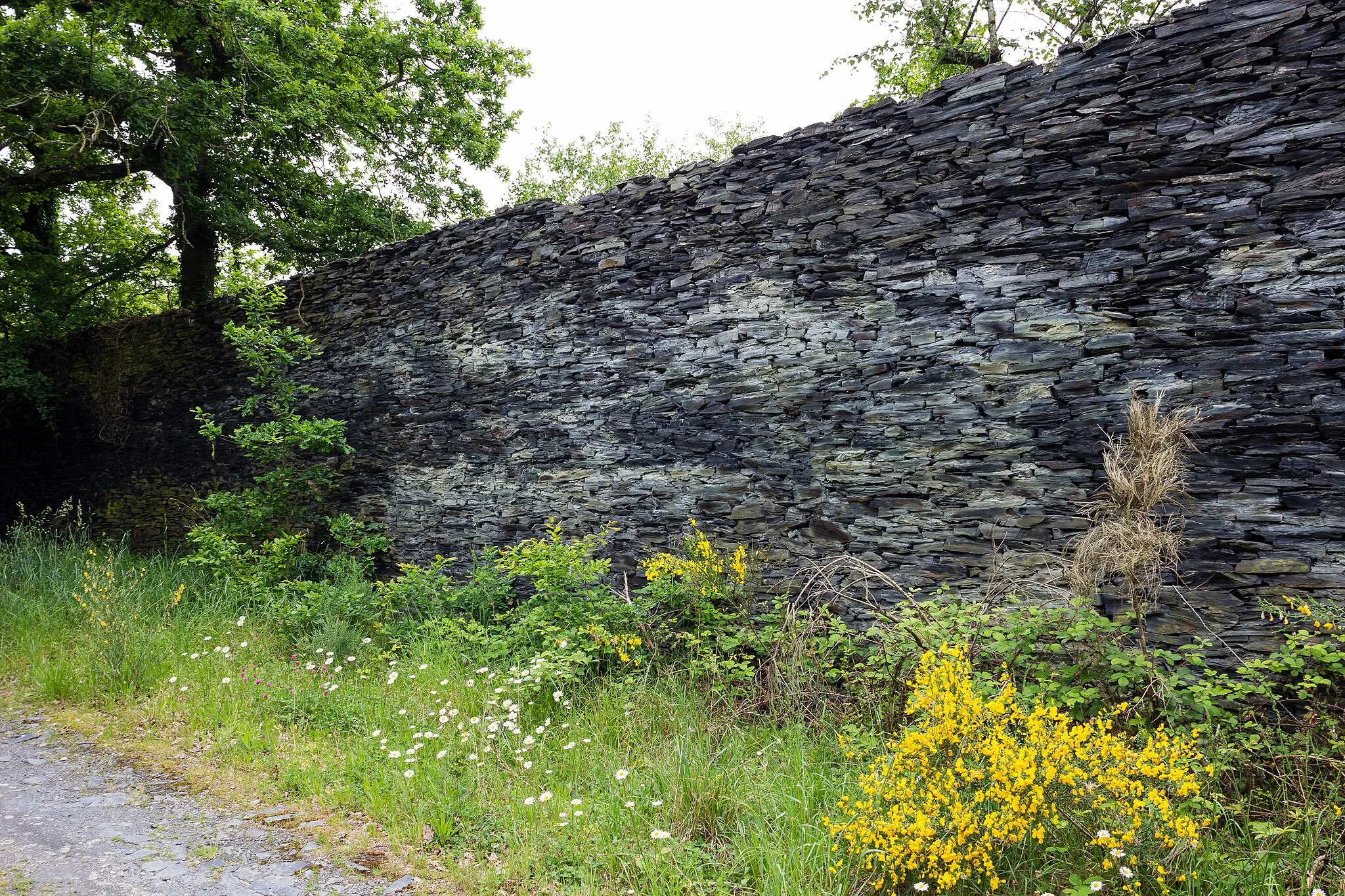 Photo showing: Mur en schiste ardoisier sur le site de l'ancienne ardoisière de la rivière, à Saint-Saturnin-du-Limet (France).