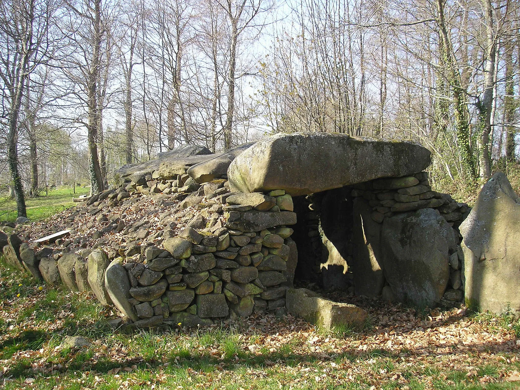 Photo showing: Saint-Mars-sur-la-Futaie (Pays de la Loire, France). L'allée couverte de la Louvetière.