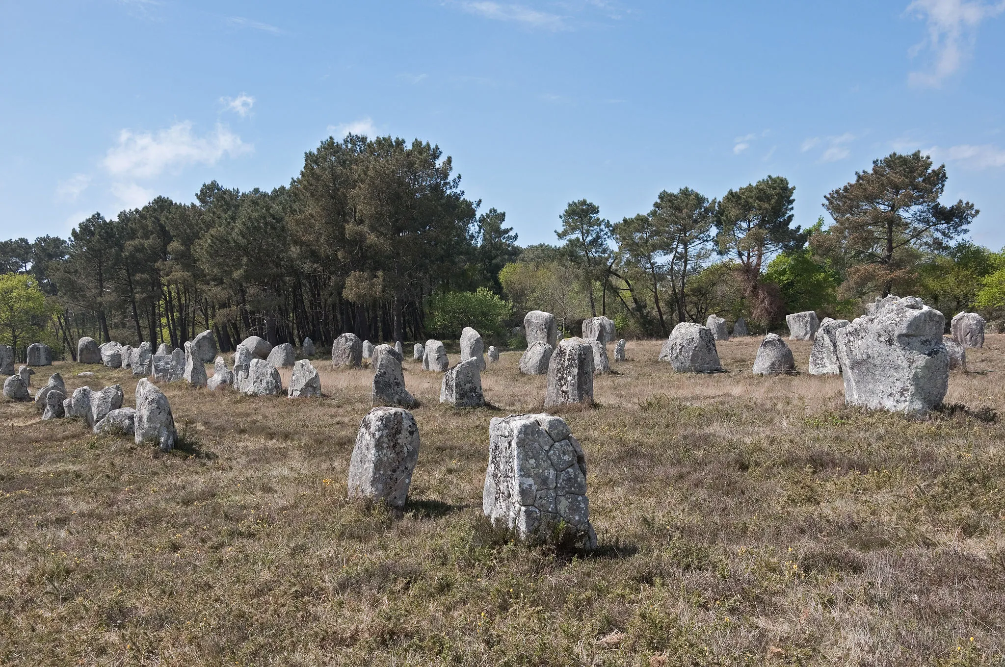 Photo showing: Stones in the Kerlescan alignment in Carnac (Morbihan, Brittany, France)