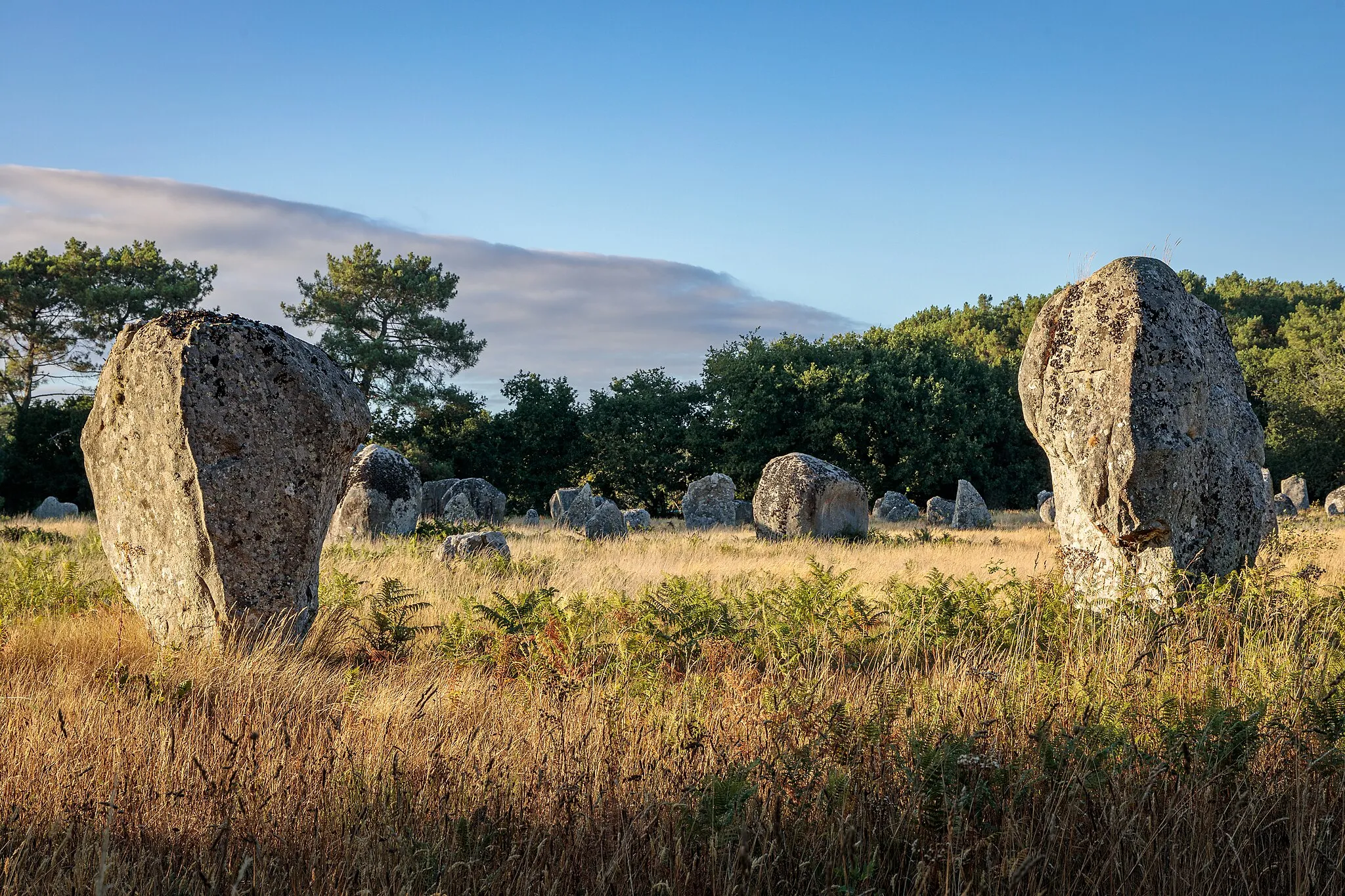 Photo showing: Alignements de Kerlescan, Carnac, France