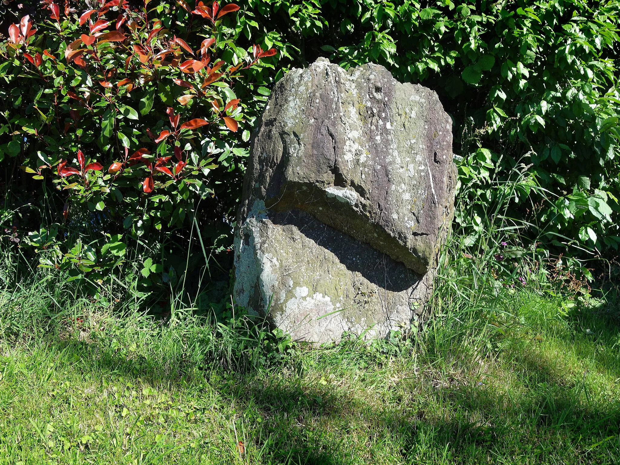 Photo showing: Ce petit menhir est un rescapé. A l'origine, il y avait deux menhirs nommés « Menhirs de la Pierre Longue » mentionnés jusqu'aux années 1850 et cités dans l'ouvrage de Paul Bézier « Inventaire des monuments mégalithiques du département d'Ille-et-Vilaine » en 1883.
C'est par chance que l'un d'entre eux fut retrouvé en 1989 et remis en place en 1992 : il fait partie désormais partie du patrimoine de Breteil.

Notice : https://www.pop.culture.gouv.fr/notice/merimee/IA35028623