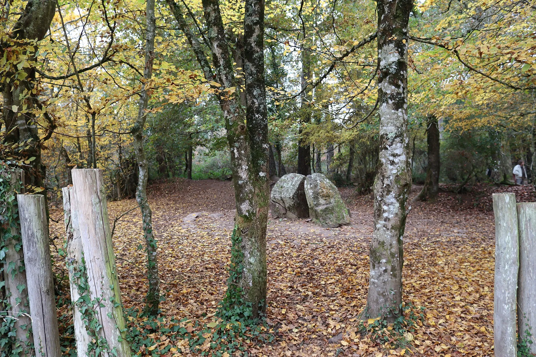 Photo showing: Le tombeau de Merlin dans la forêt de Brocéliande ( Paimpont, Ille-et-Vilaine)