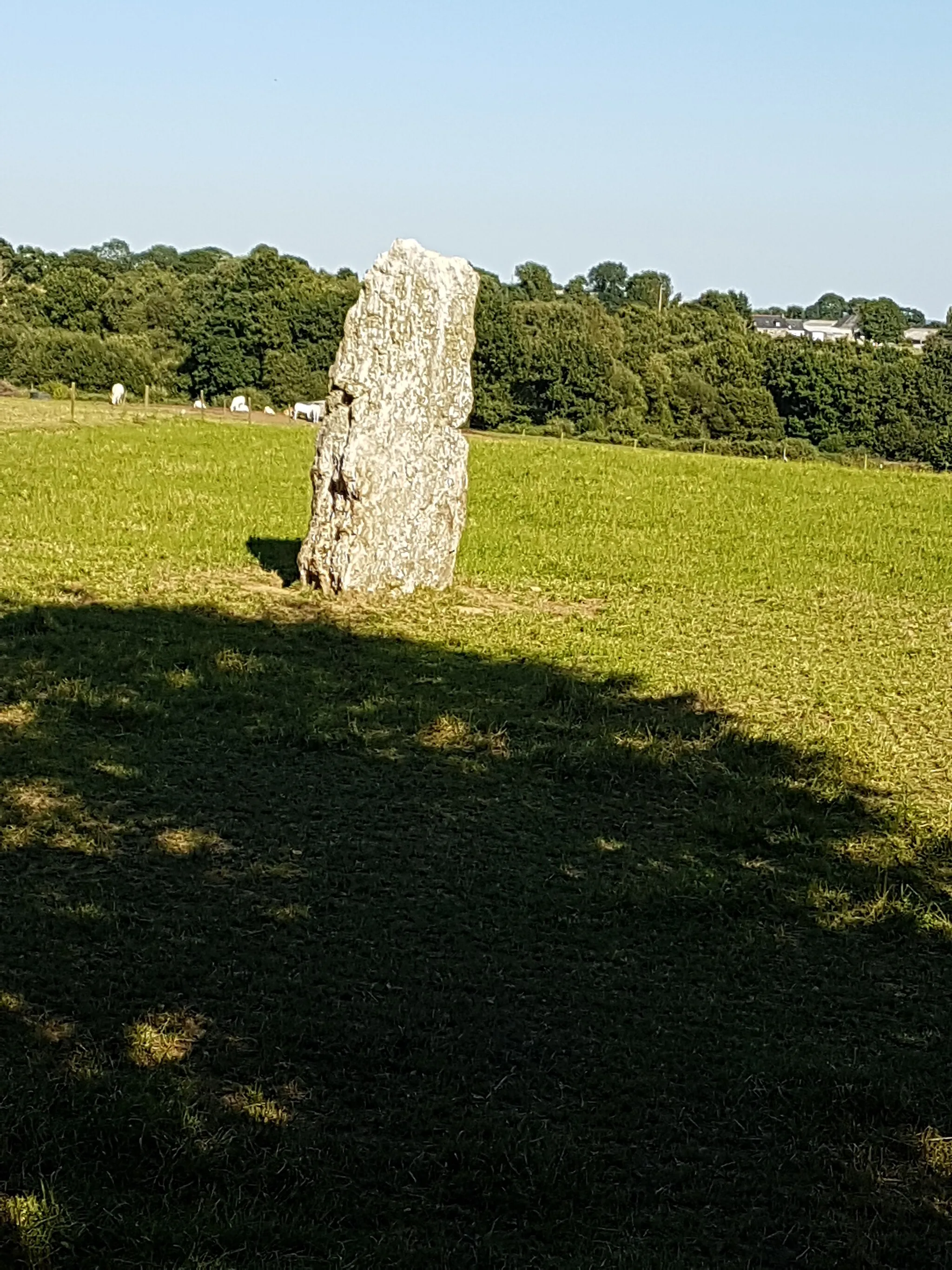 Photo showing: vu du menhir de Toul Hoat depuis le talus bordant la D54