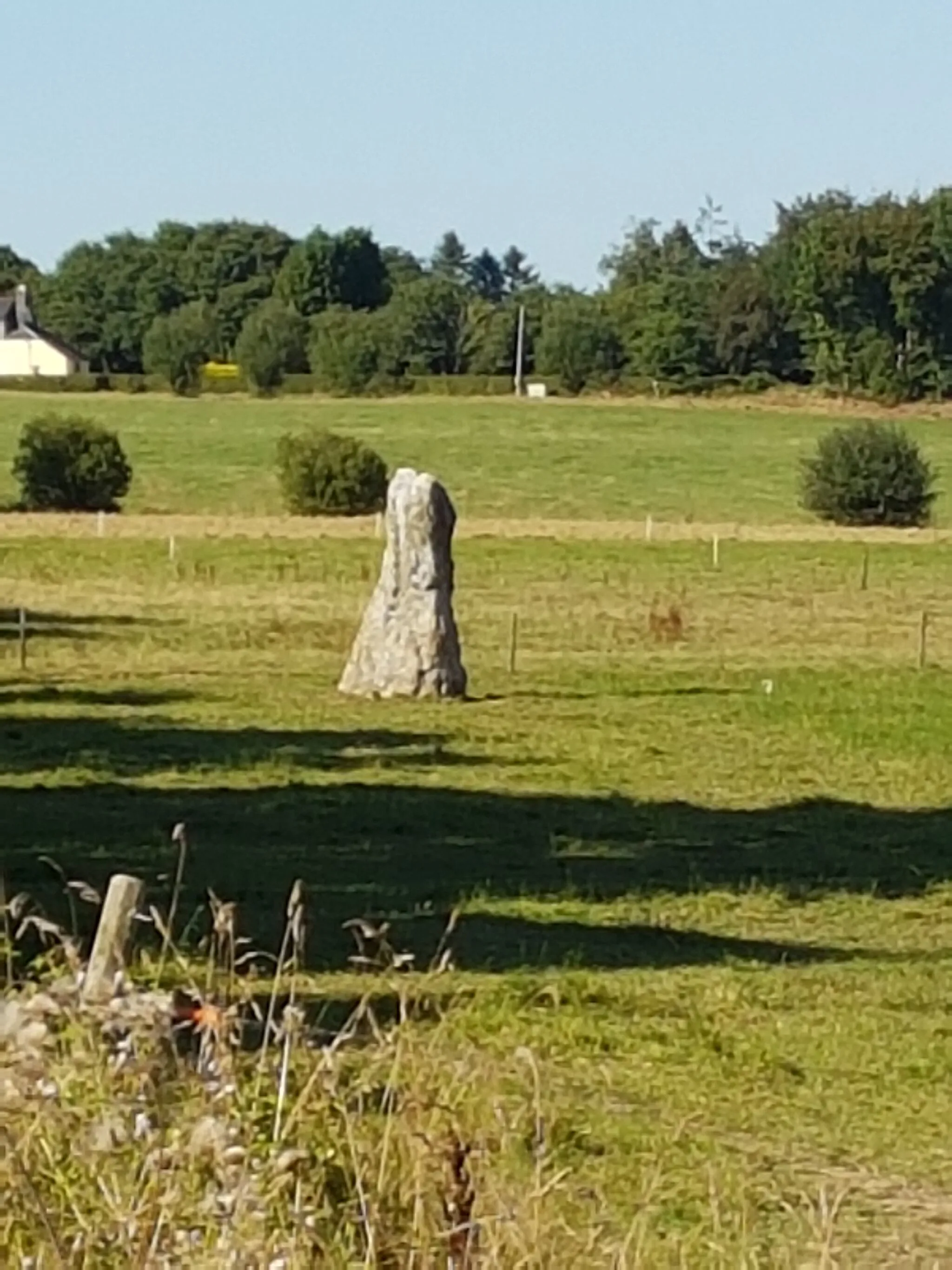 Photo showing: Menhir de Toul Hoat vu du sud , depuis le la route D54 au niveau de la ferme de Toul Hoat.