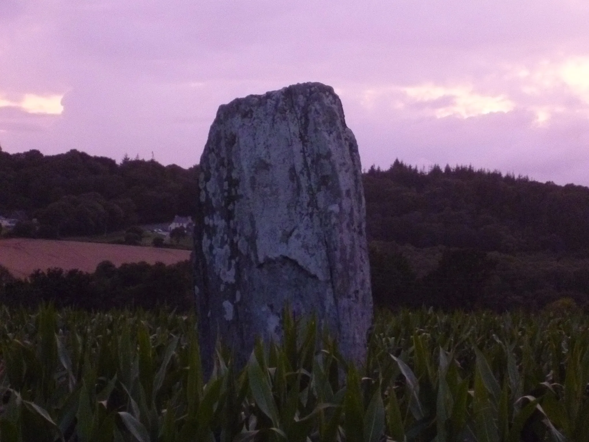 Photo showing: Menhir le long de la route