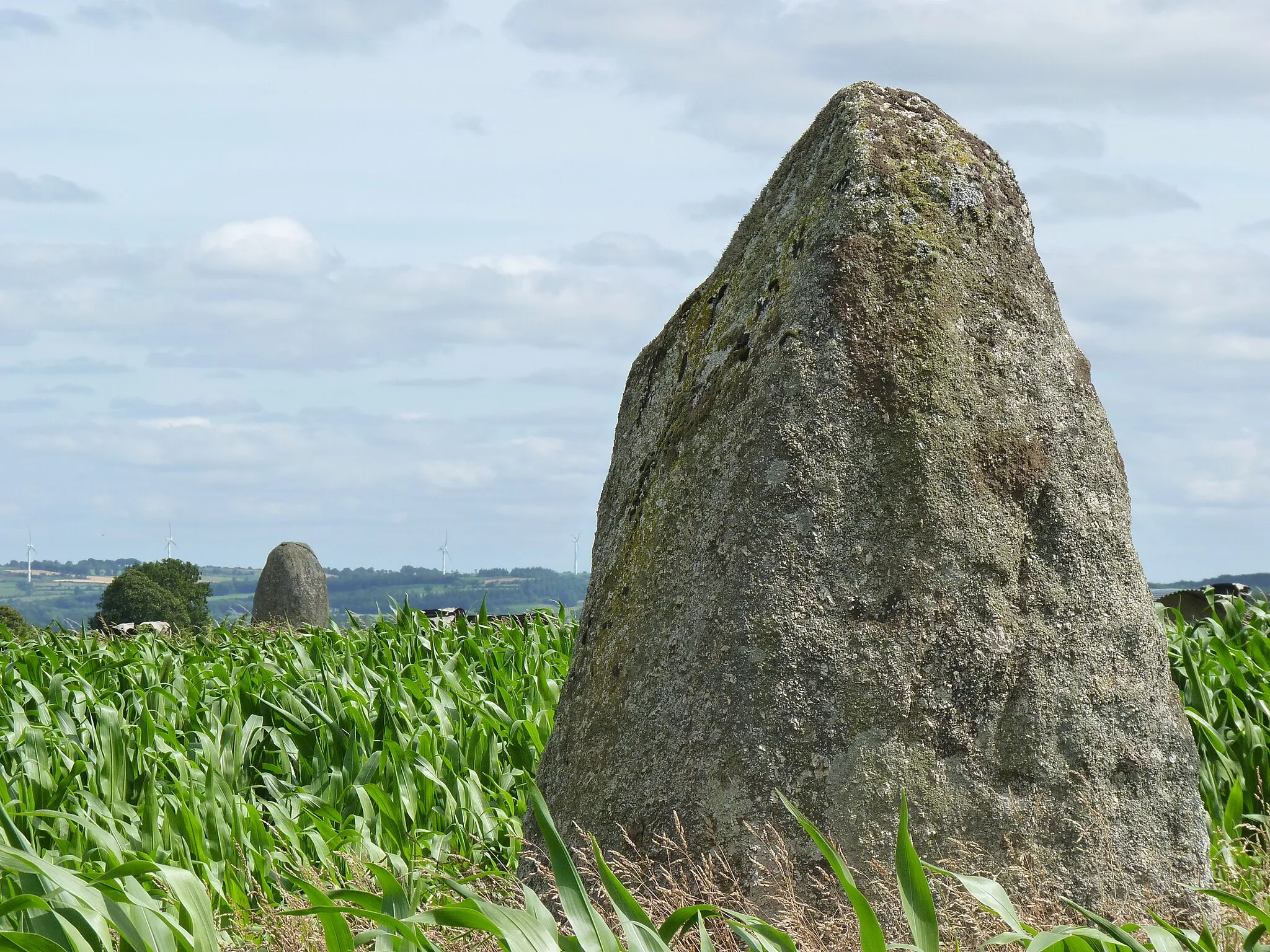 Photo showing: Avec le menhir de Botudo en arrière-plan