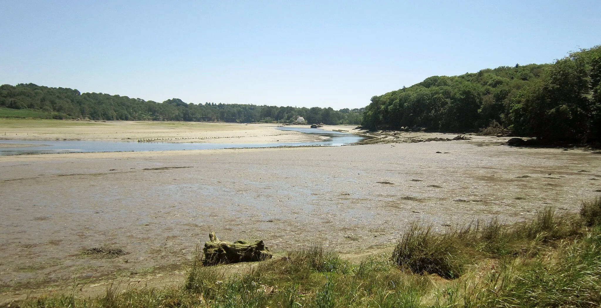 Photo showing: L'Aber Benoît à marée basse vu vers l'amont depuis le GR 34 aux environs de Trouzilit en Tréglonou (à gauche de la photographie, la rive droite côté Lannilis)..