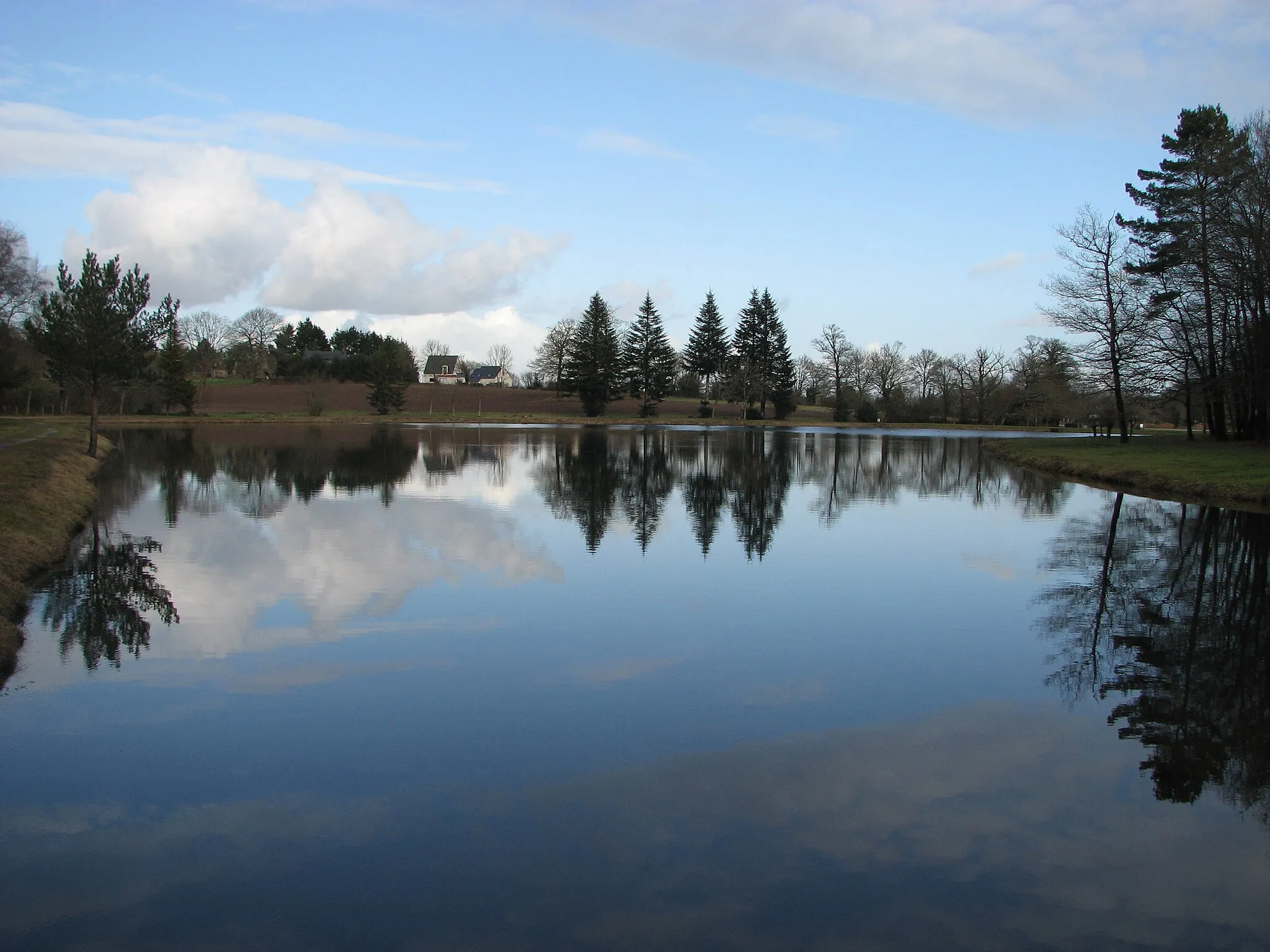 Photo showing: Étang aux biches à Trédion (Morbihan)