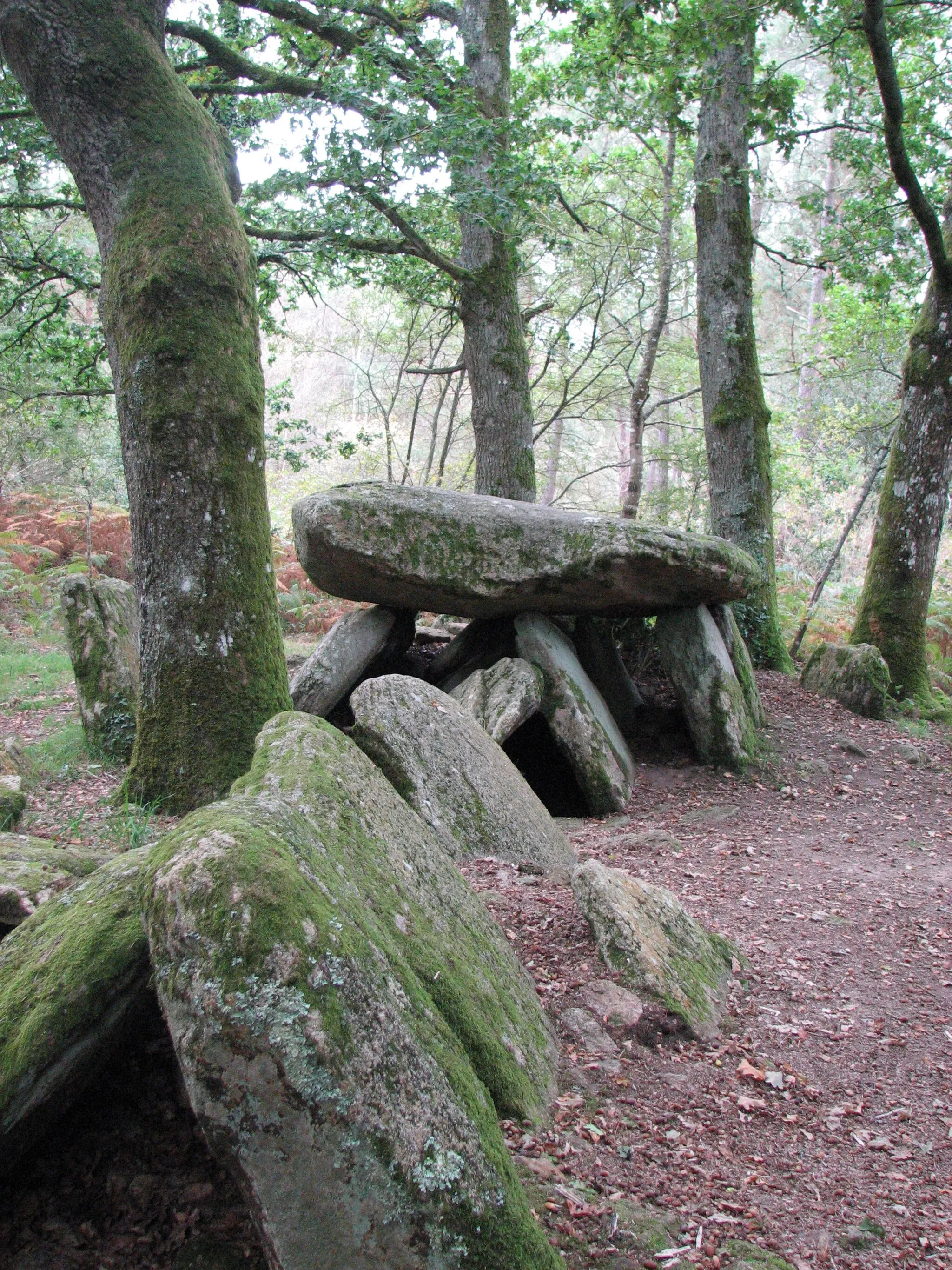 Photo showing: Dolmen de la Loge au loup, à Trédion (Morbihan).