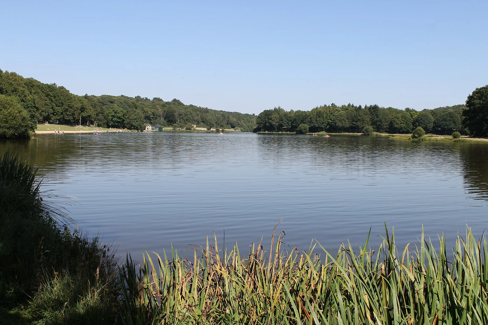 Photo showing: Étang du Moulin-Neuf à Malansac