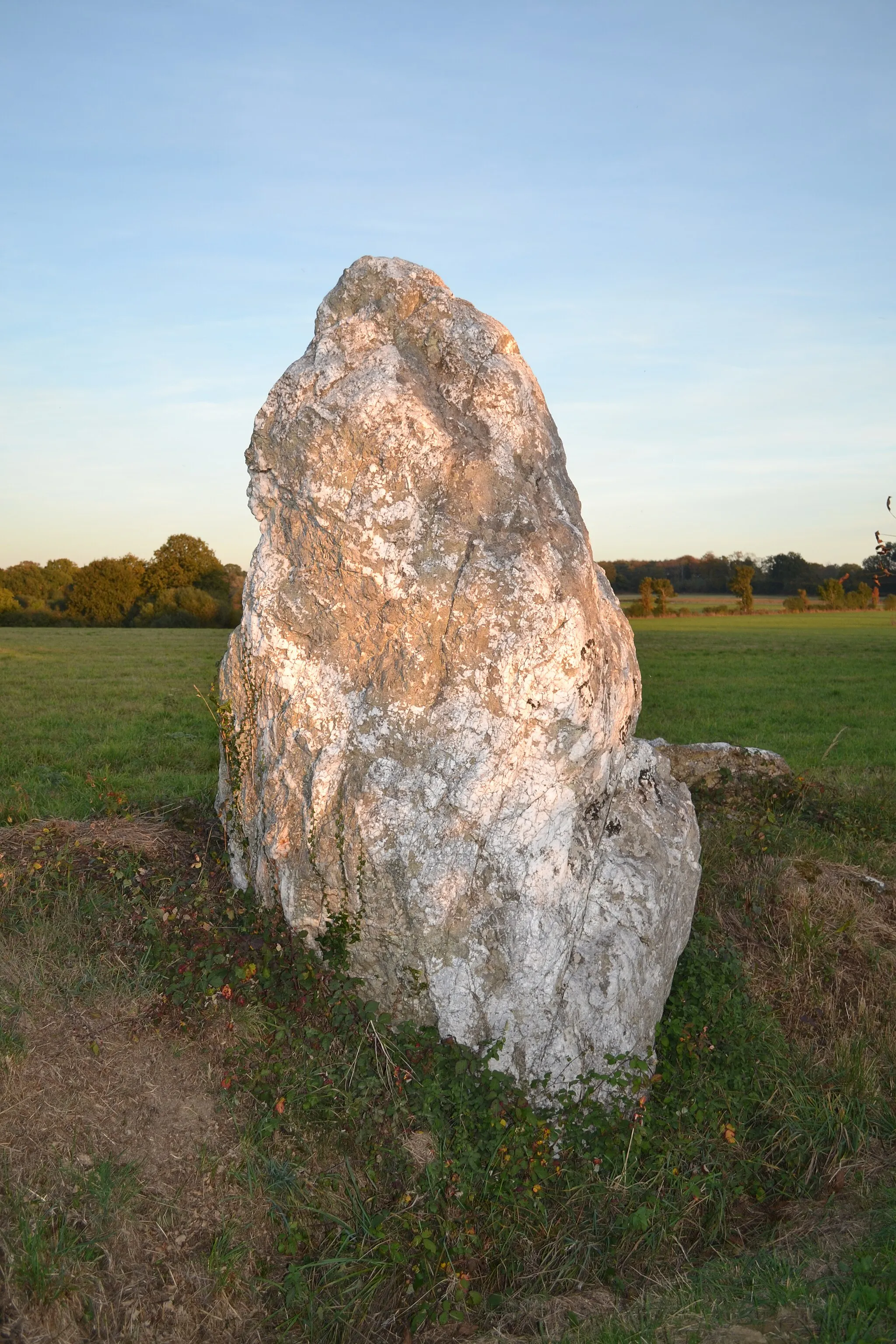 Photo showing: Menhir Dit de la Maison Neuve à Monterrein (56).