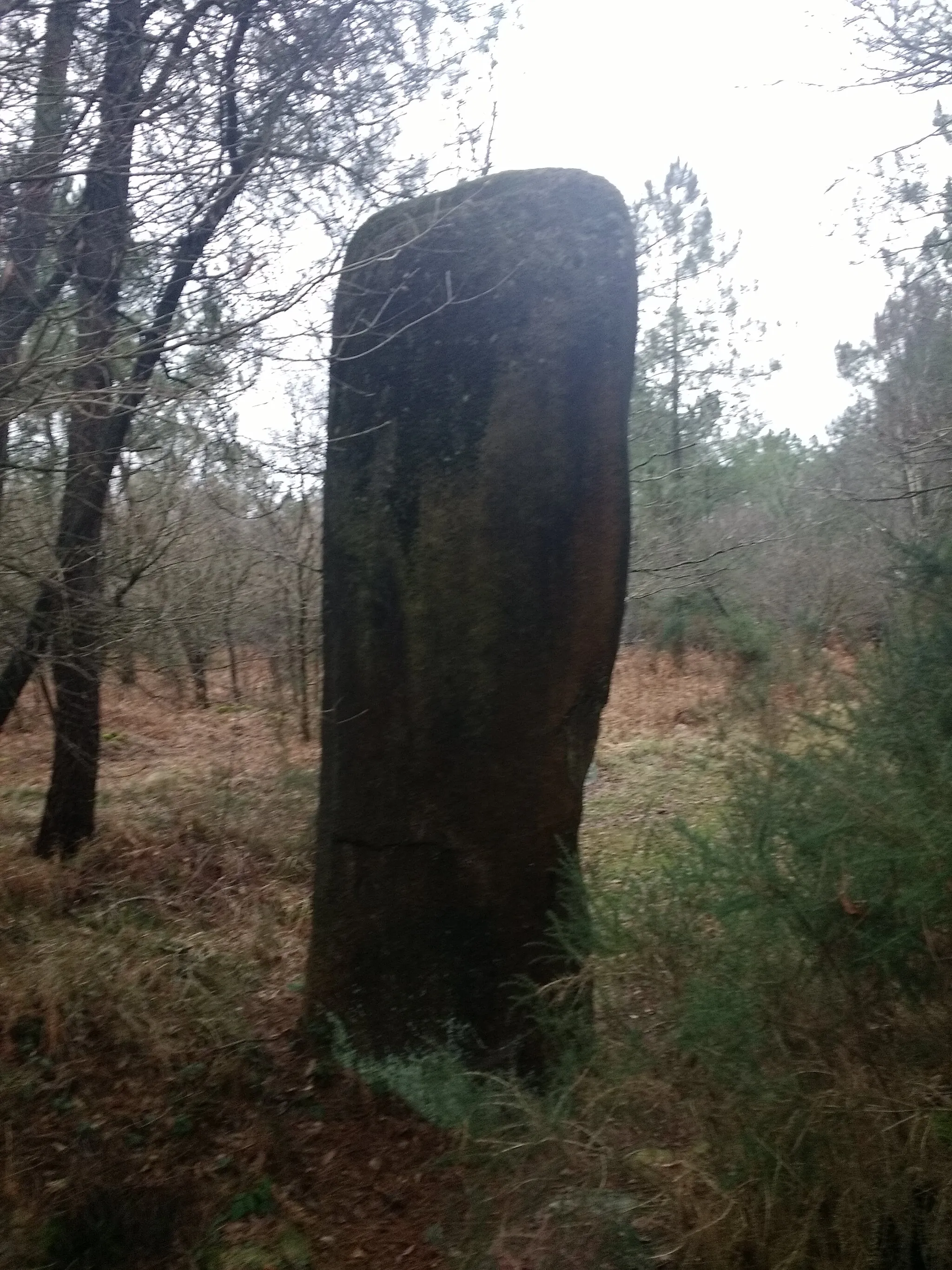 Photo showing: menhir