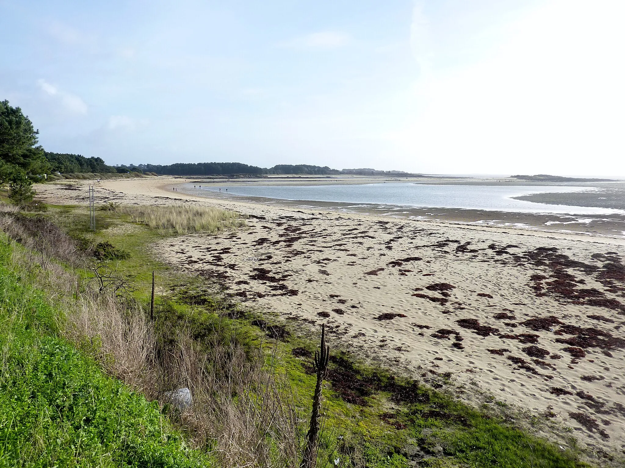 Photo showing: La Trinité-sur-Mer : la pointe de Men Du et l'île de Stuhan vus depuis la plage du Men Du.