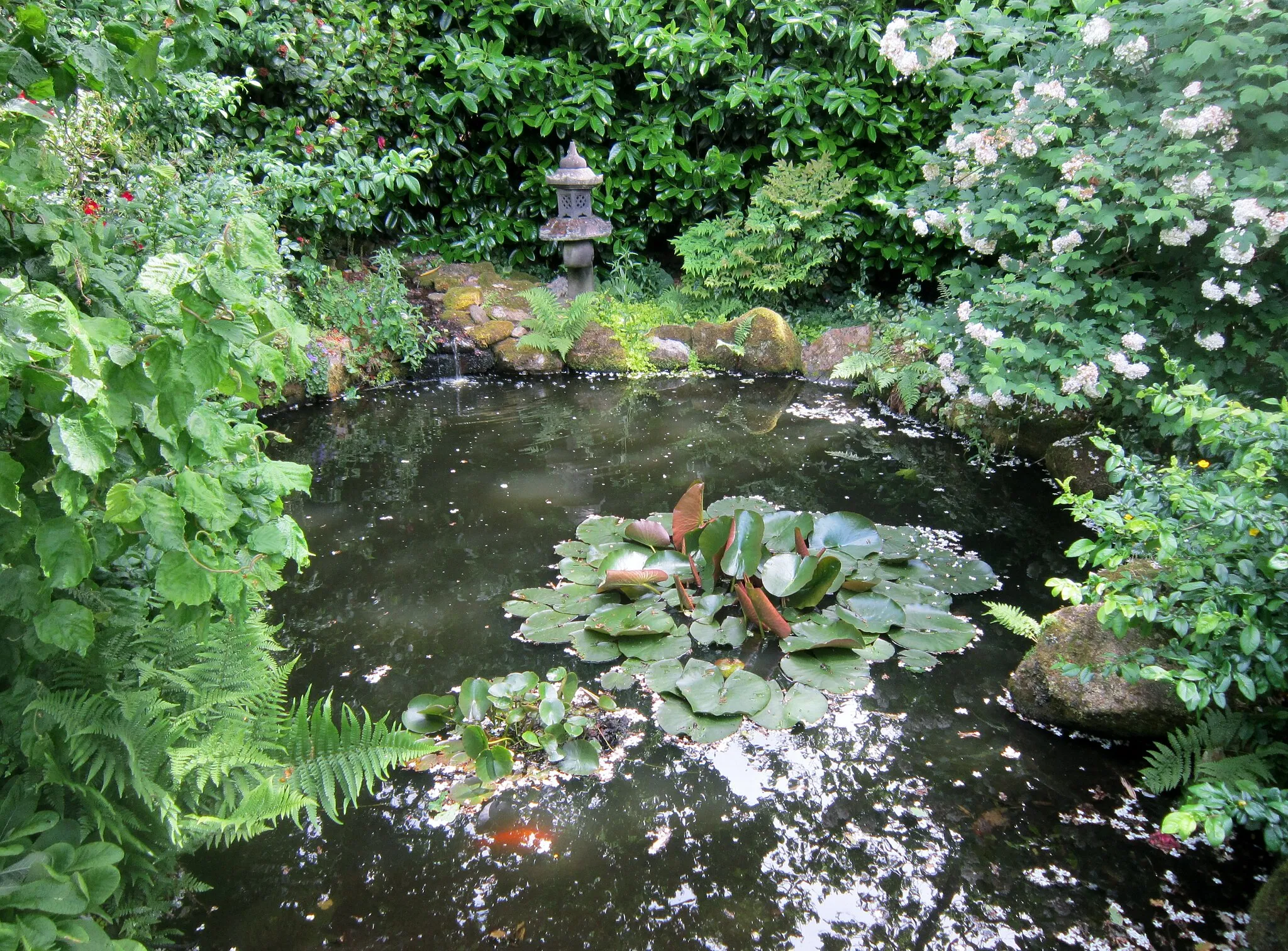 Photo showing: "Un jardin à Landrévarzec" (jardin privé ouvert à la visite en saison touristique et présentant des plantes des cinq continents).
