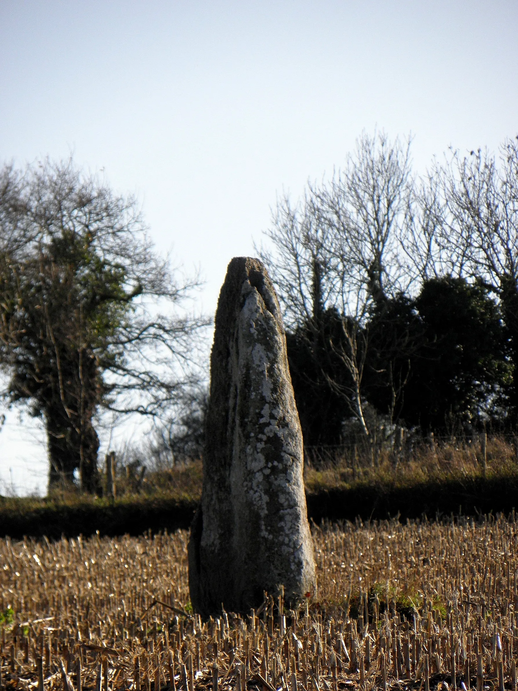 Photo showing: Menhir dit La Roche Longue à Saint-Marcan (35).