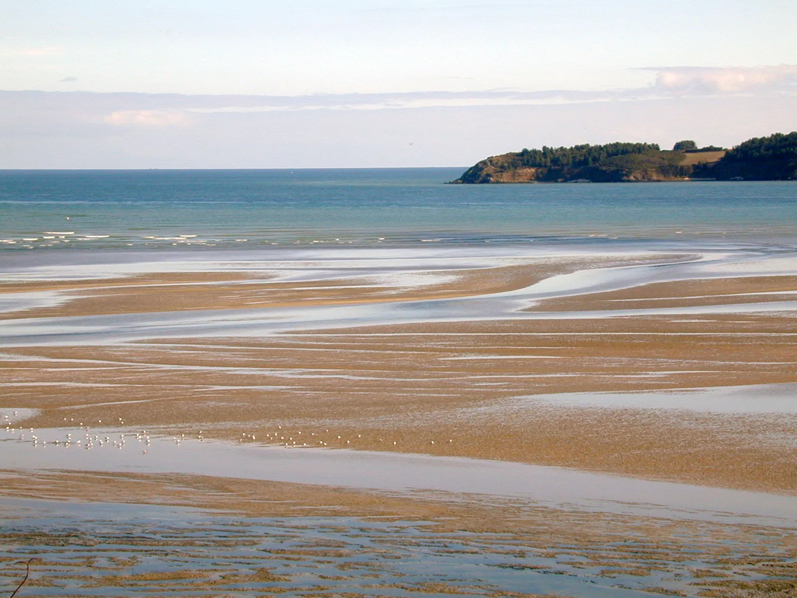 Photo showing: estran de la réserve naturelle baie de Saint-Brieuc