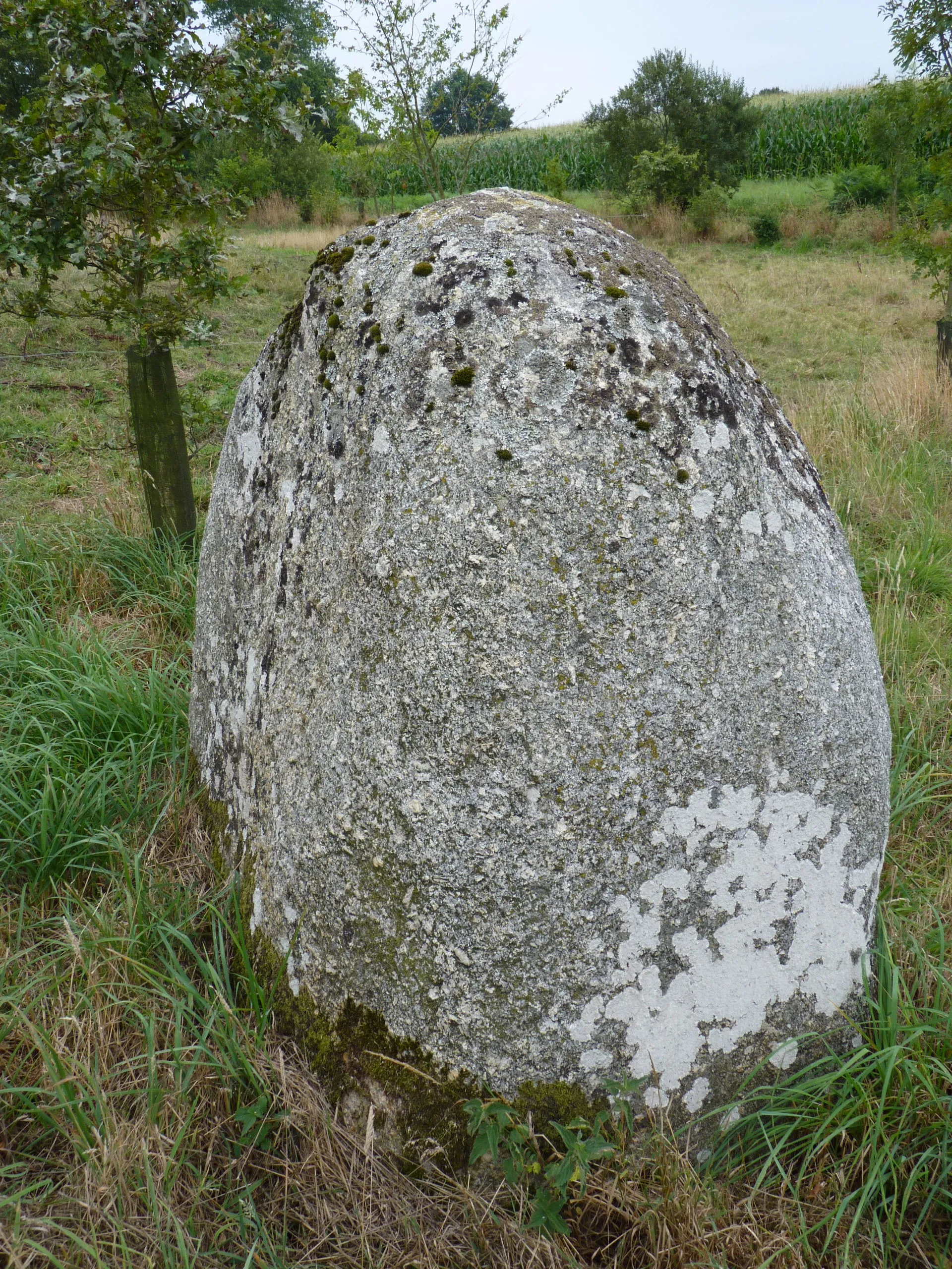 Photo showing: Petit menhir.