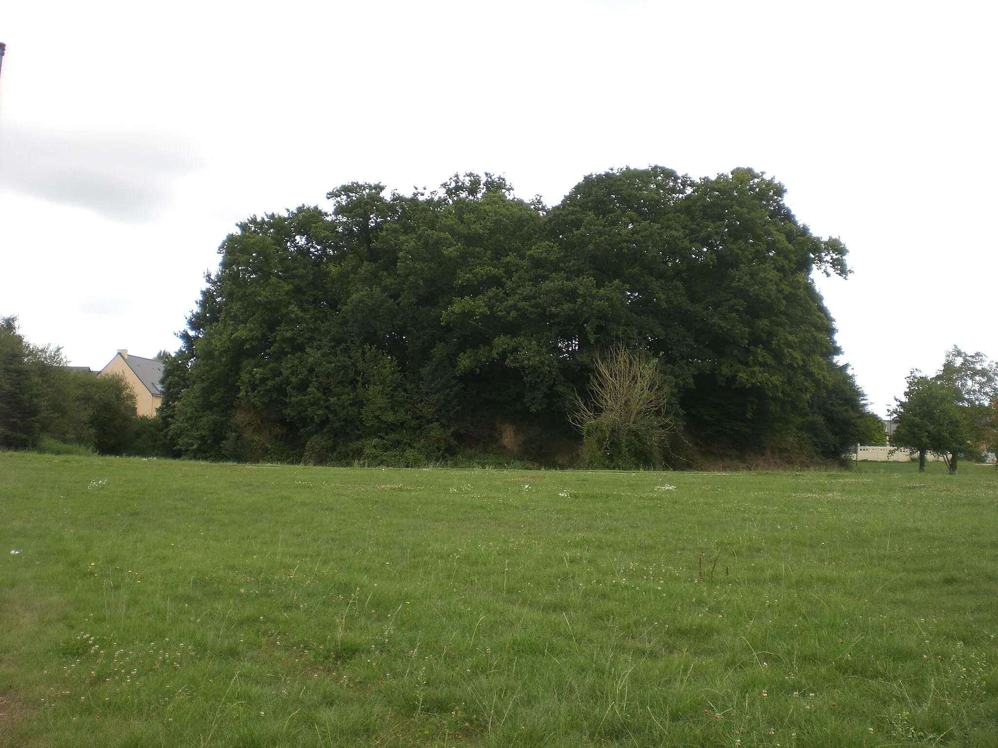 Photo showing: Feudal motte in Bédée