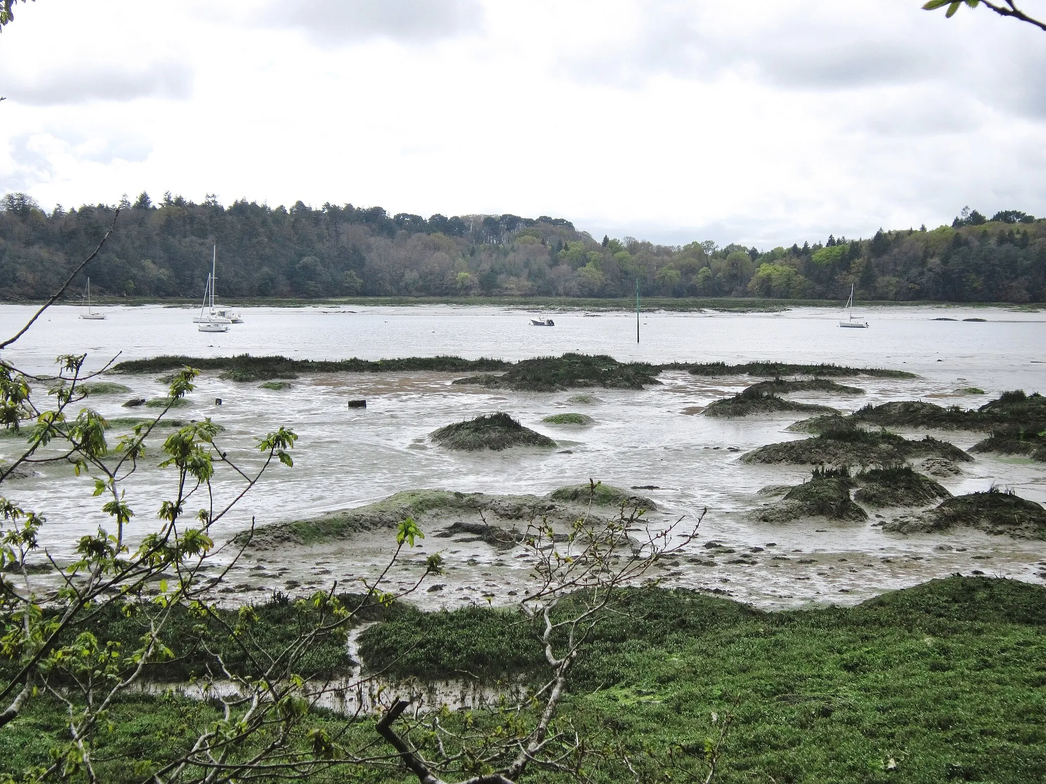 Photo showing: Slikke et schorre le long de la rive gauche de la Rivière d'Auray au nord de la Pointe de Kerisper.