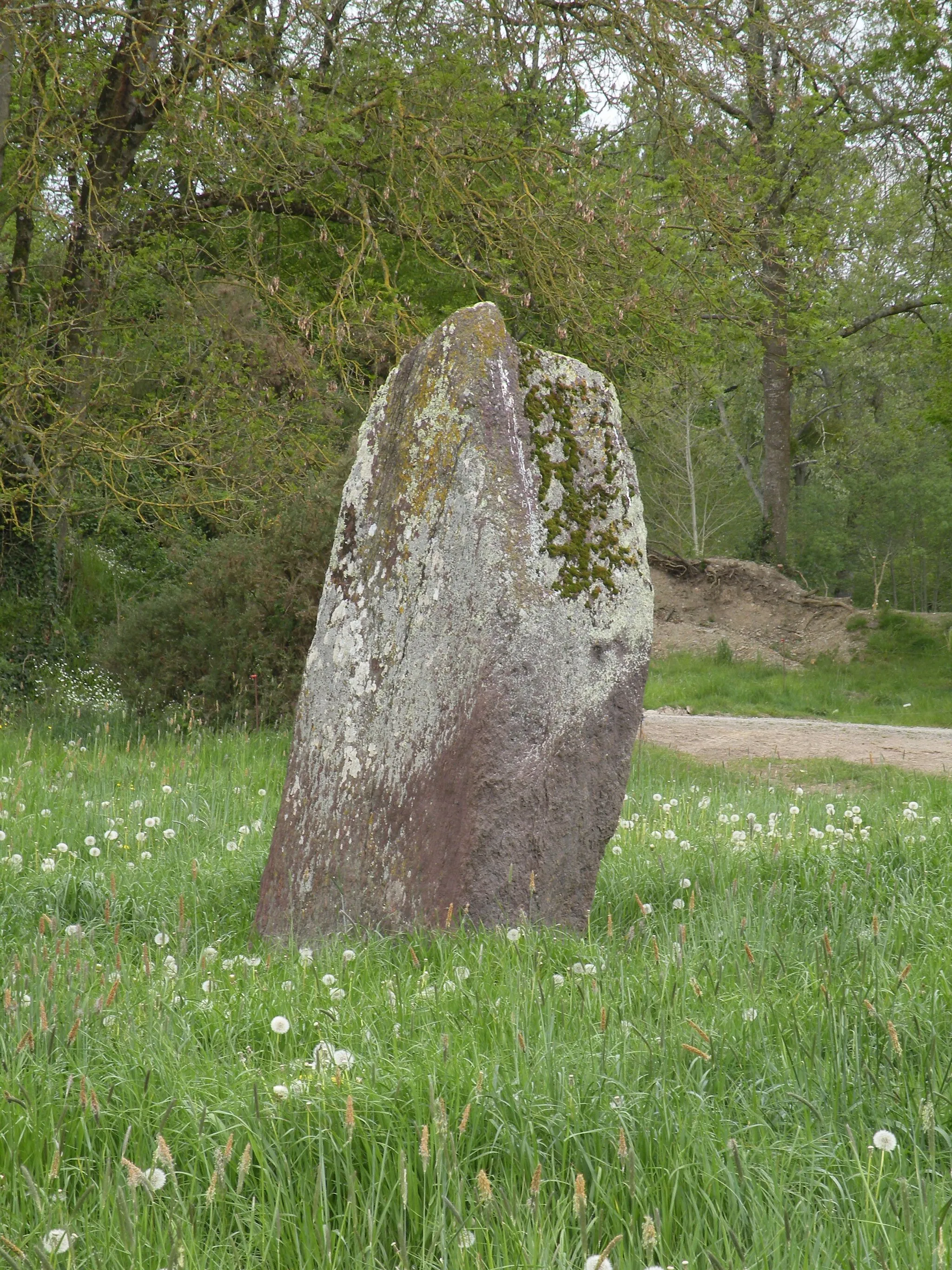 Photo showing: Menhir du Cas Rougé à Bruz.
