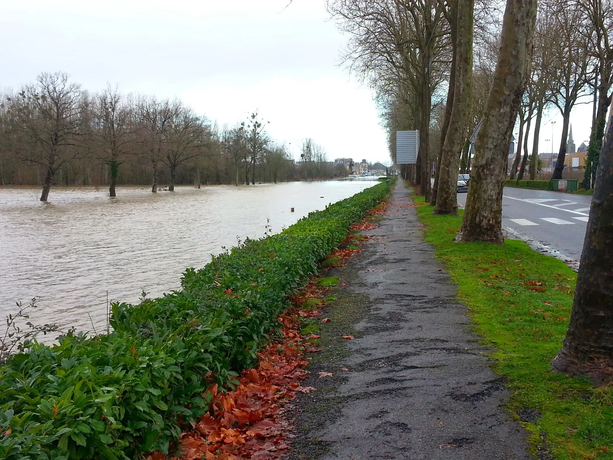 Photo showing: Crue de la Vilaine, à Saint-Nicolas de Redon (Redon en arrière-plan)