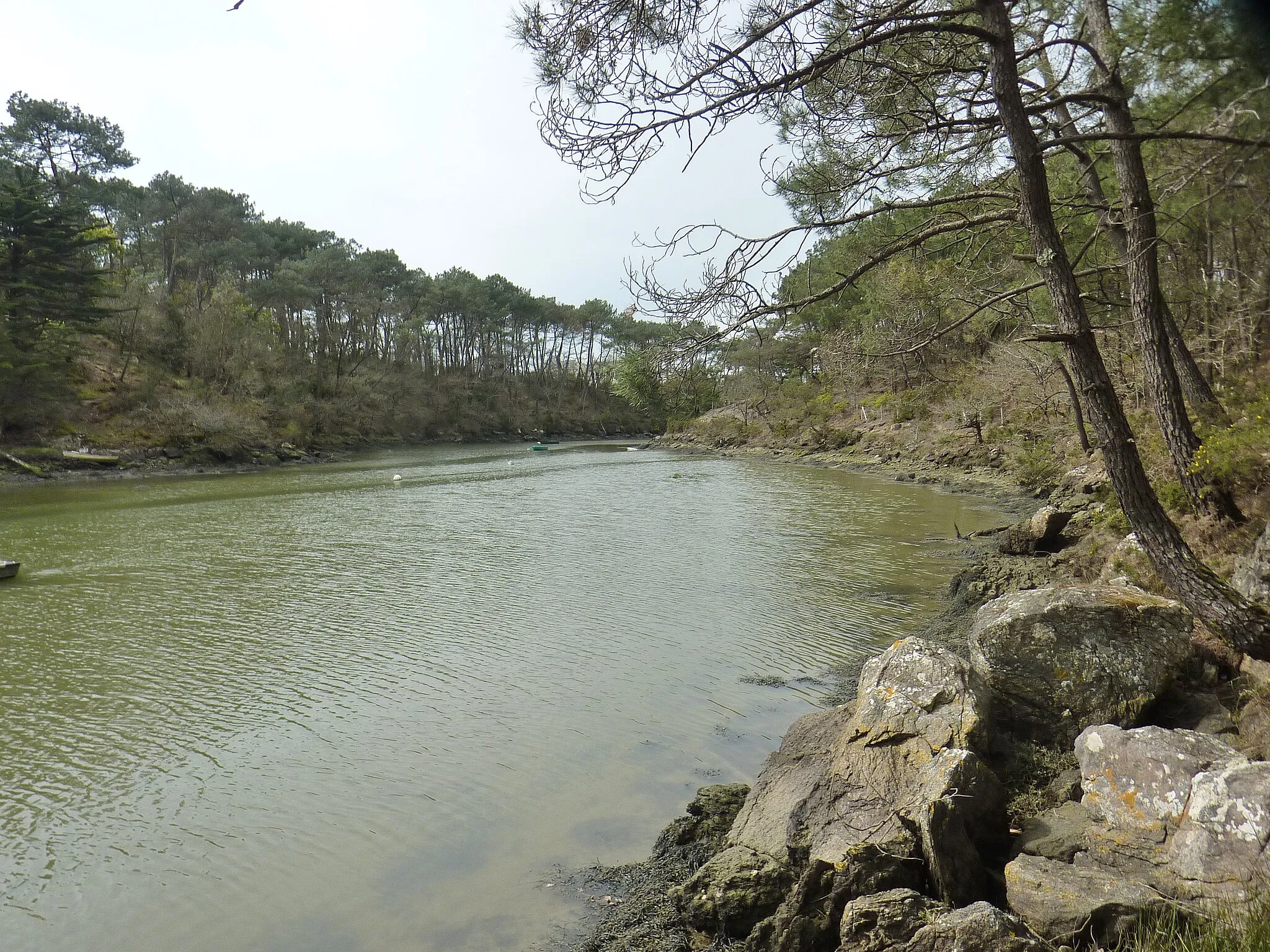 Photo showing: La ria du ruisseau du Pont de Lohac en aval du moulin de Pomper vue depuis sa rive orientale située dans la commune d'Arradon : à gauche de la photographie la rive occidentale, côté Baden (Morbihan).