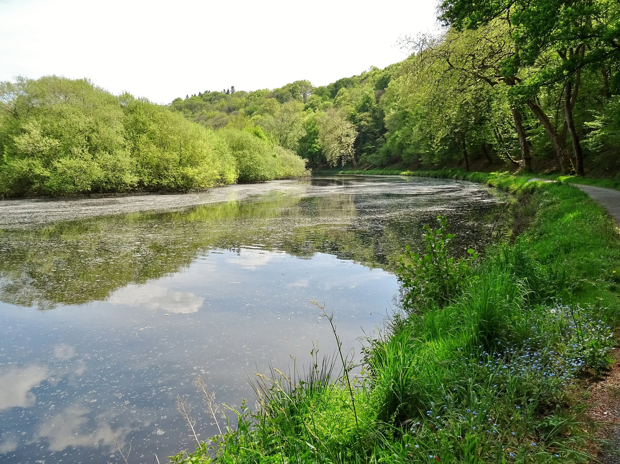 Photo showing: Blavet : le méandre de Castennec en Pluméliau-Bieuzy ; vue vers l'amont depuis le chemin de halage côté Pluméliau (rive gauche, mais à droite sur la photographie).