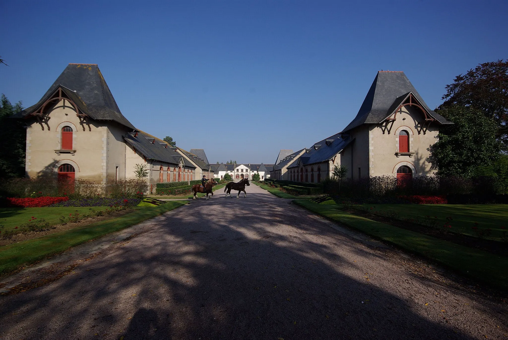 Photo showing: Lamballe in der Bretagne, Frankreich. Blick in das Gestüt in Lamballe (geotags in den EXIF-Daten).