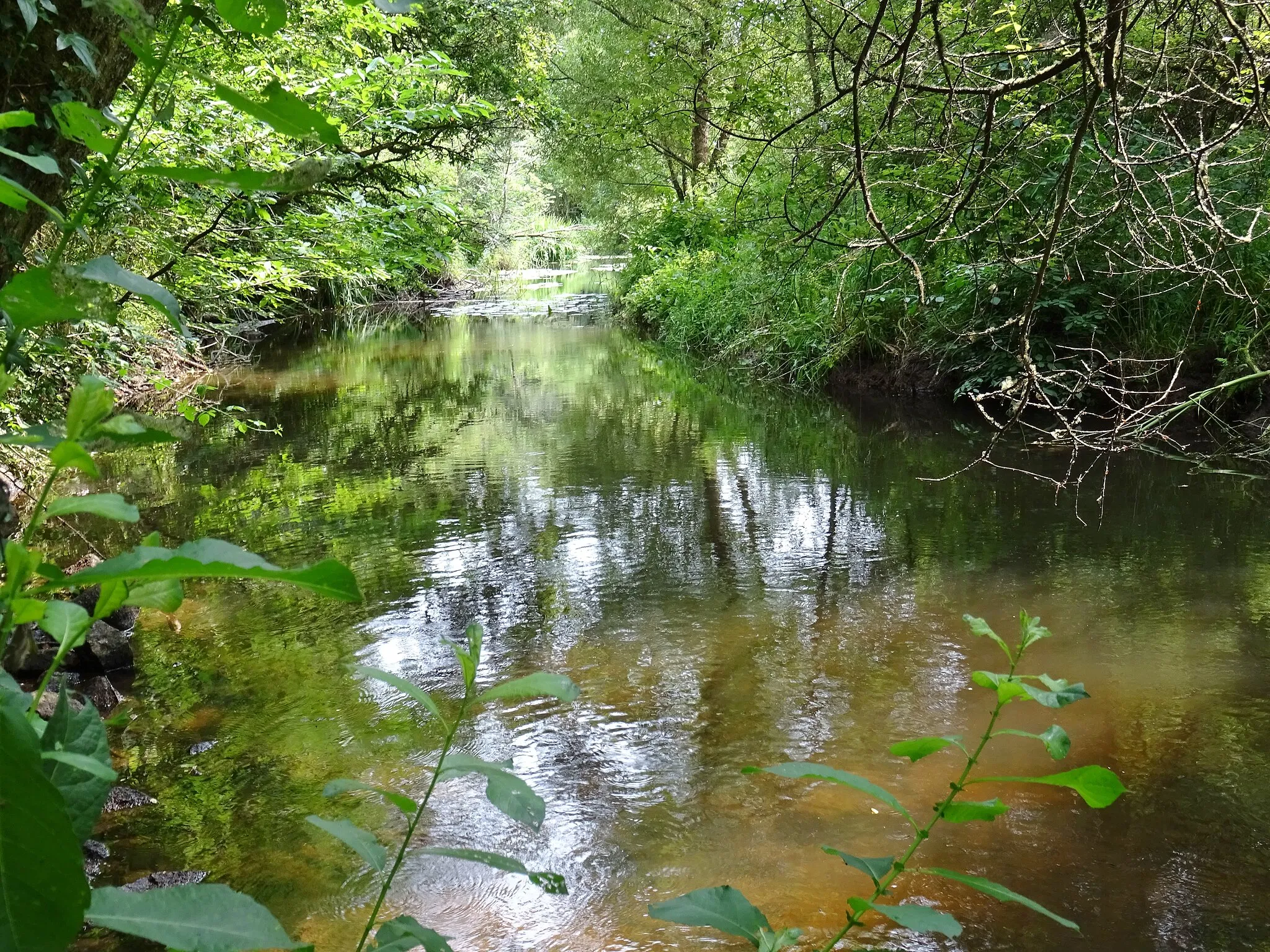 Photo showing: L'étang du Verger sur le Scave (limite entre Gestel (Morbihan) et Pont-Scorff).