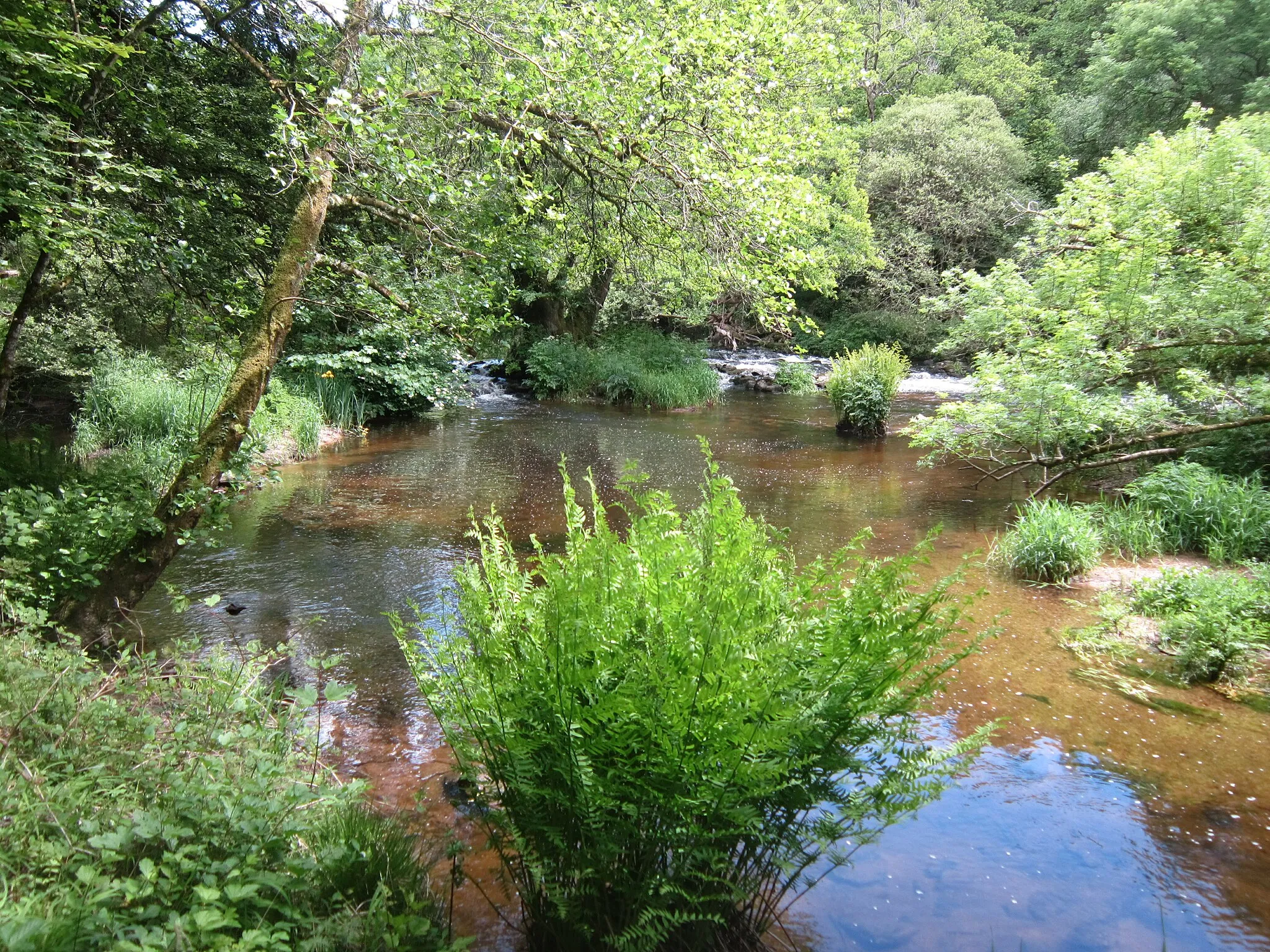 Photo showing: L'Ellé entre le moulin de Kergueff et le Bois de Rosgrand : une vallée encaissée et sauvage.