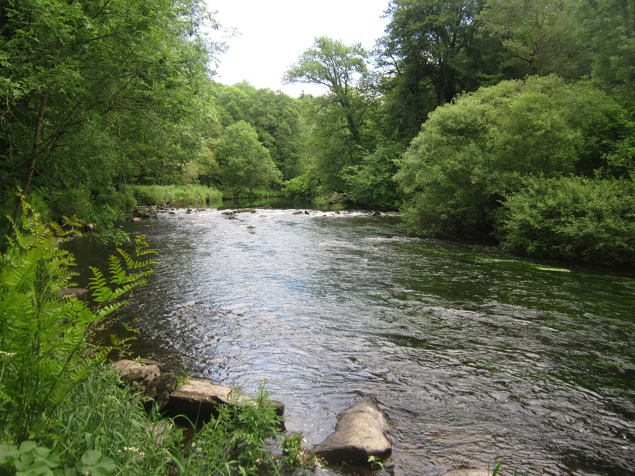 Photo showing: L'Ellé entre le moulin de Kergueff et le Bois de Rosgrand (à gauche de la photographie, la rive droite en Tréméven, à droite la rive gauche en Rédené).