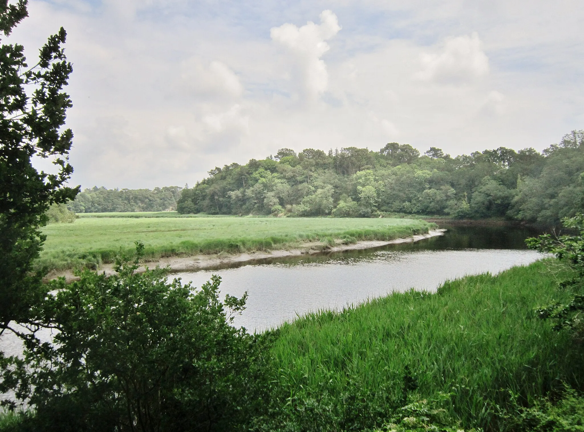 Photo showing: La ria du Scorff vue depuis le sentier piétonnier entre Pont Scave et la chapelle Notre-Dame-de-Bon-Secours (en Quéven) ; sur la gauche de la photographie des roselières  situées côté Caudan à hauteur du hameau du Stumo.