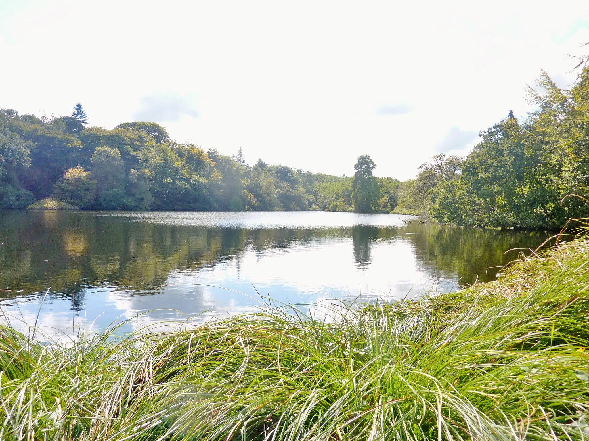 Photo showing: Étang devant le moulin du château de Keruzoret