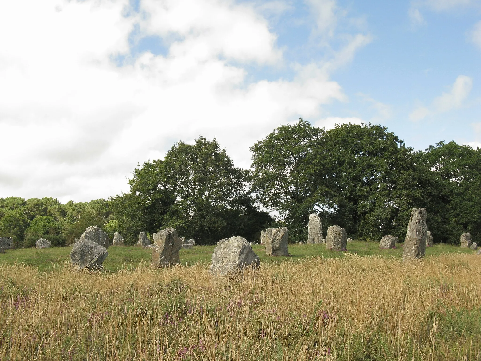 Photo showing: Megalieten van Kermario, Carnac