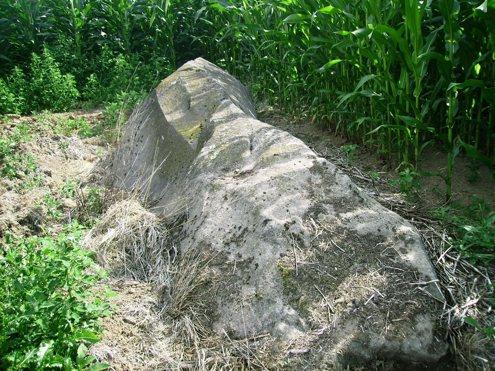 Photo showing: Menhir Pierre st Martin Brecé. Il est situé au Hameau de la Garde