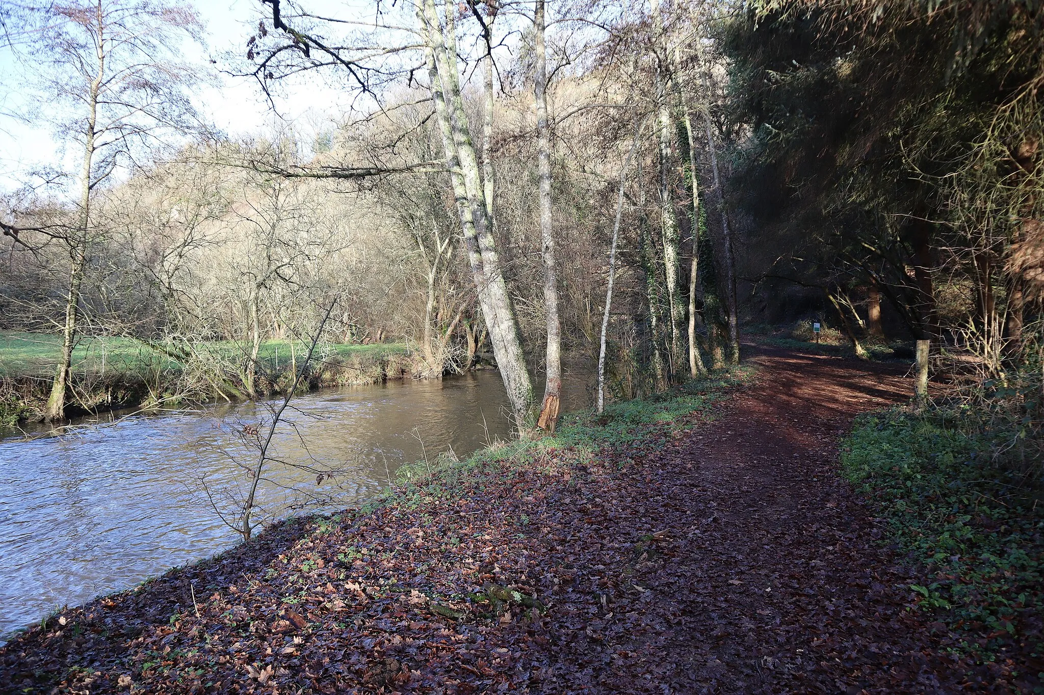 Photo showing: Espace naturel de la Vallée du Couesnon sur les communes de Mézières-sur-Couesnon, Saint-Marc-sur-Couesnon et Saint-Ouen-des-Alleux (35).