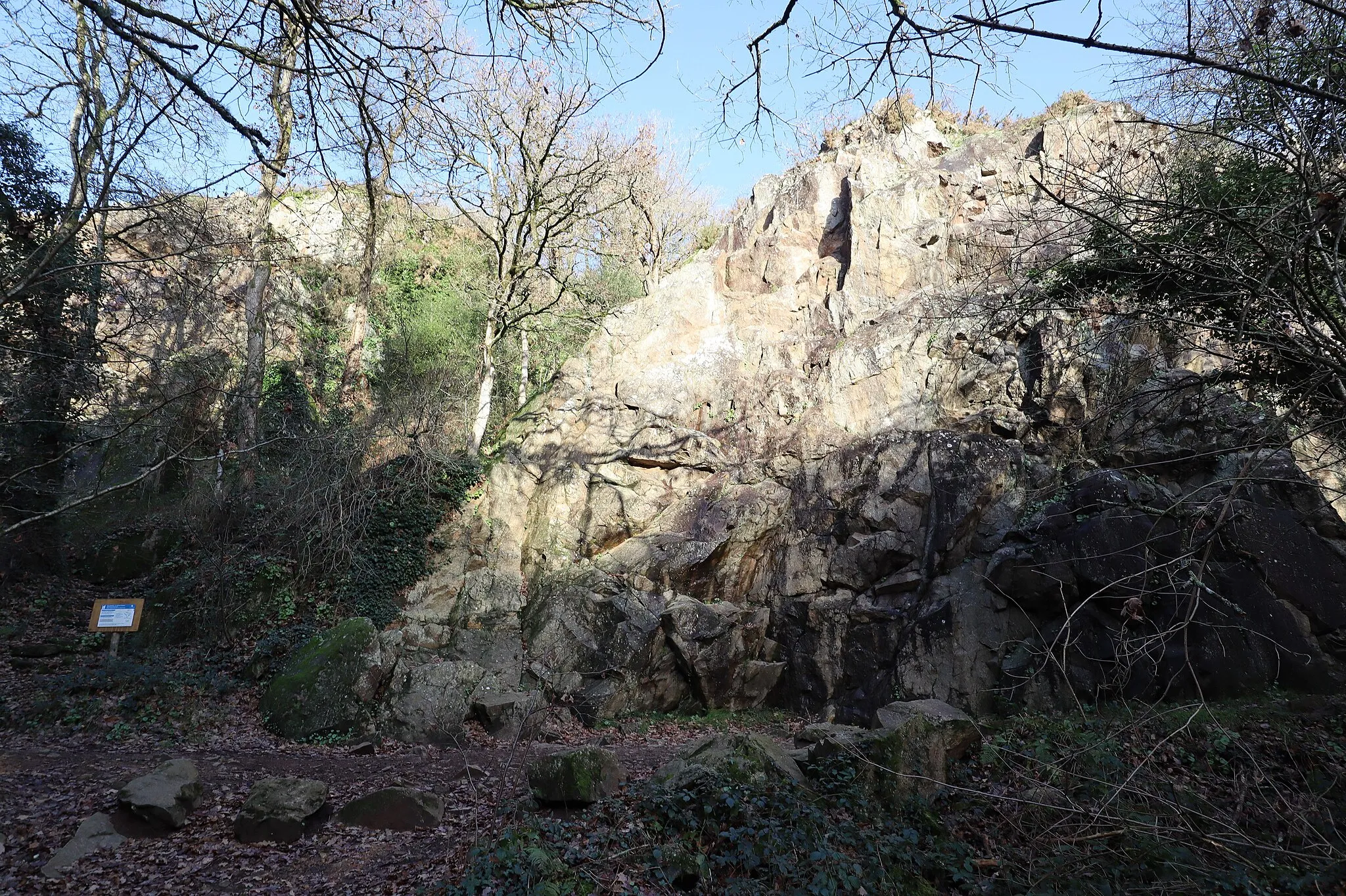 Photo showing: Espace naturel de la Vallée du Couesnon sur les communes de Mézières-sur-Couesnon, Saint-Marc-sur-Couesnon et Saint-Ouen-des-Alleux (35).