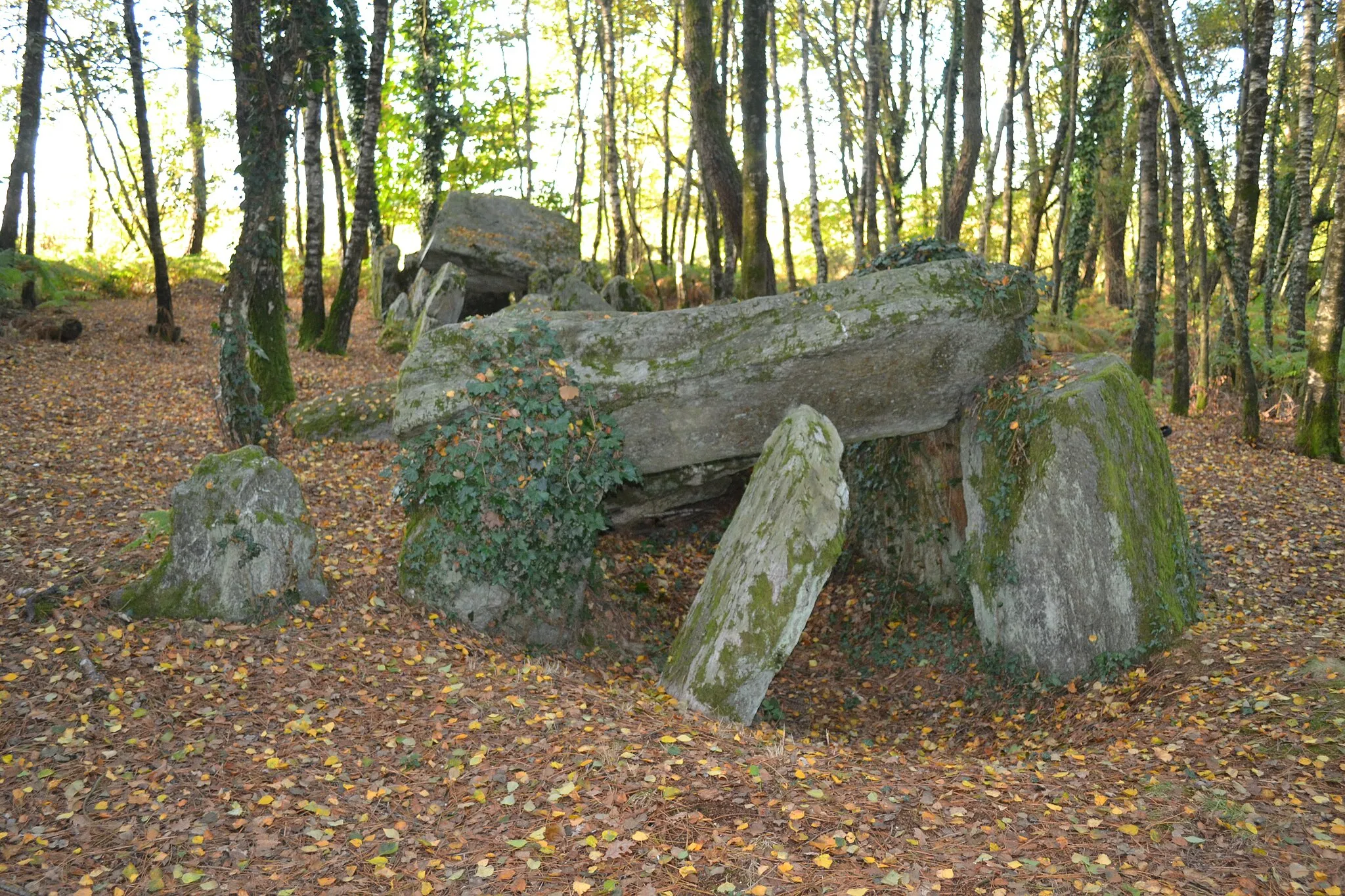 Photo showing: Allée couverte du Bignon à La Chapelle-Caro (56)