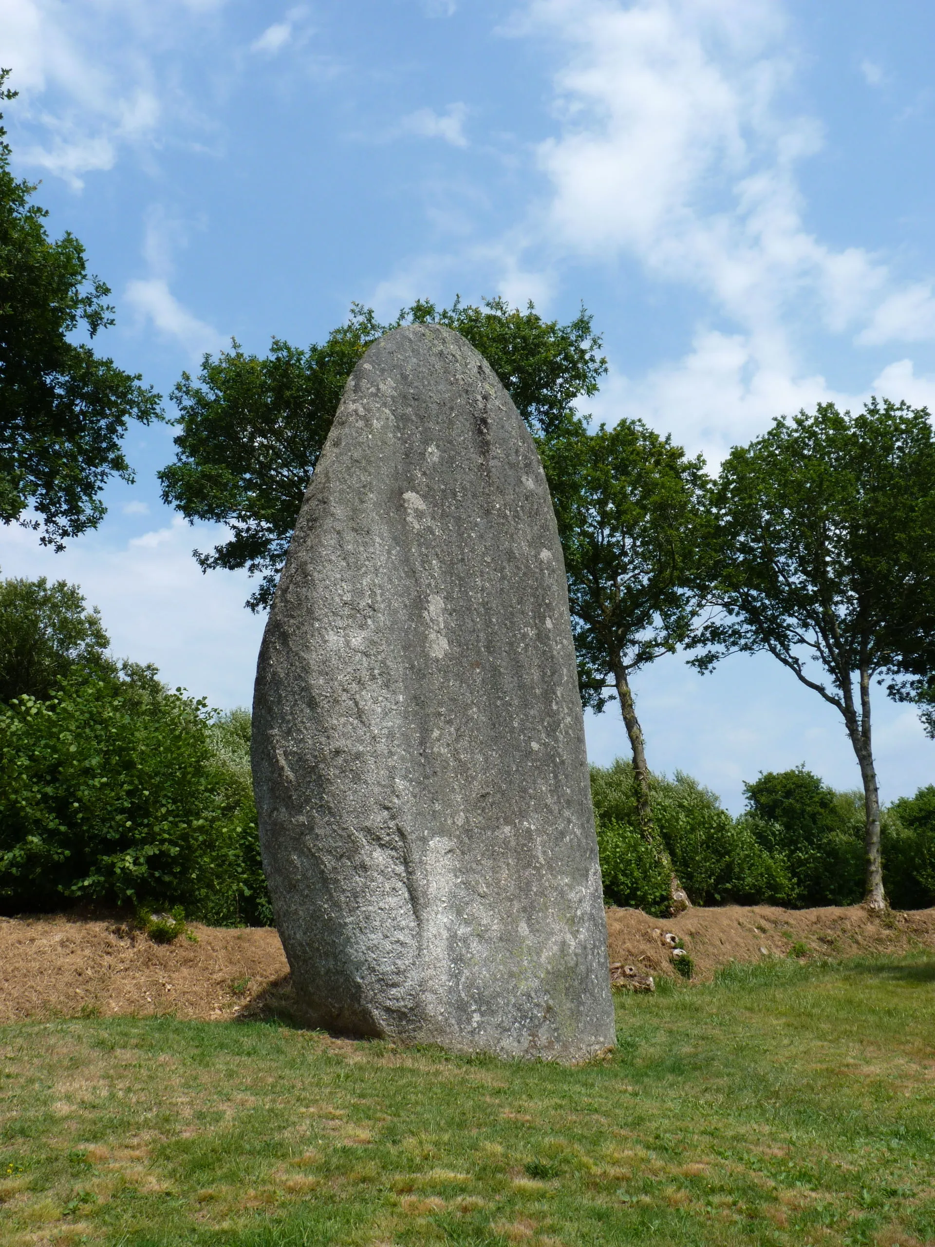 Photo showing: menhir d'environ 7.5 m de haut. Vue sur sa face la plus large.